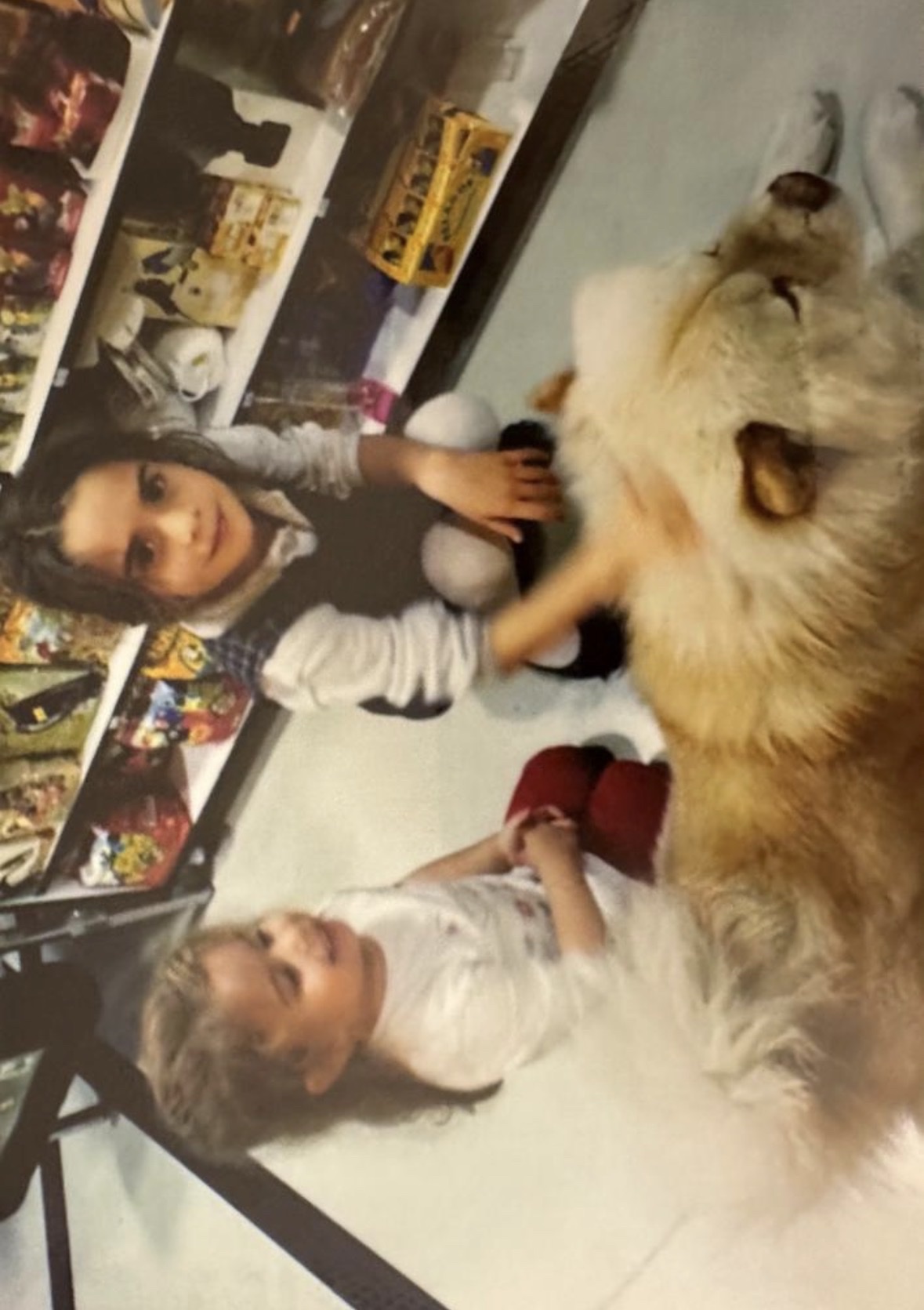 image-7
