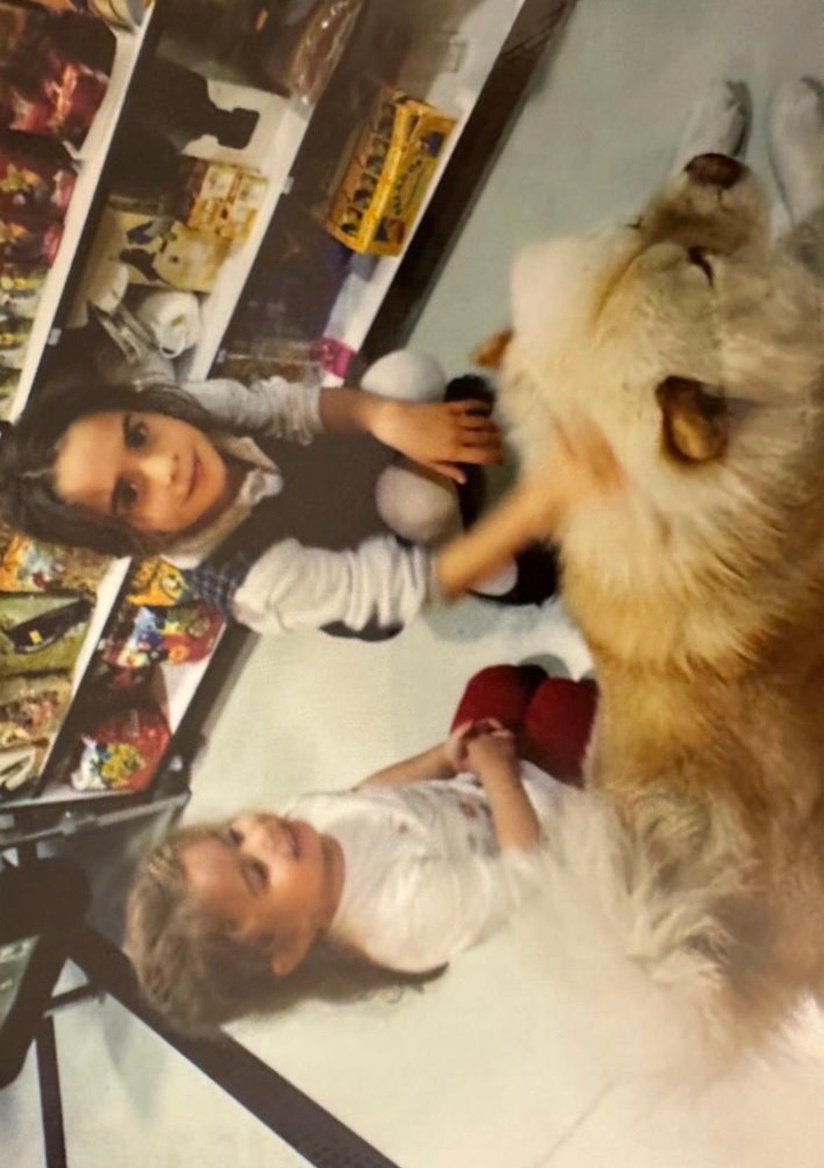 image-7