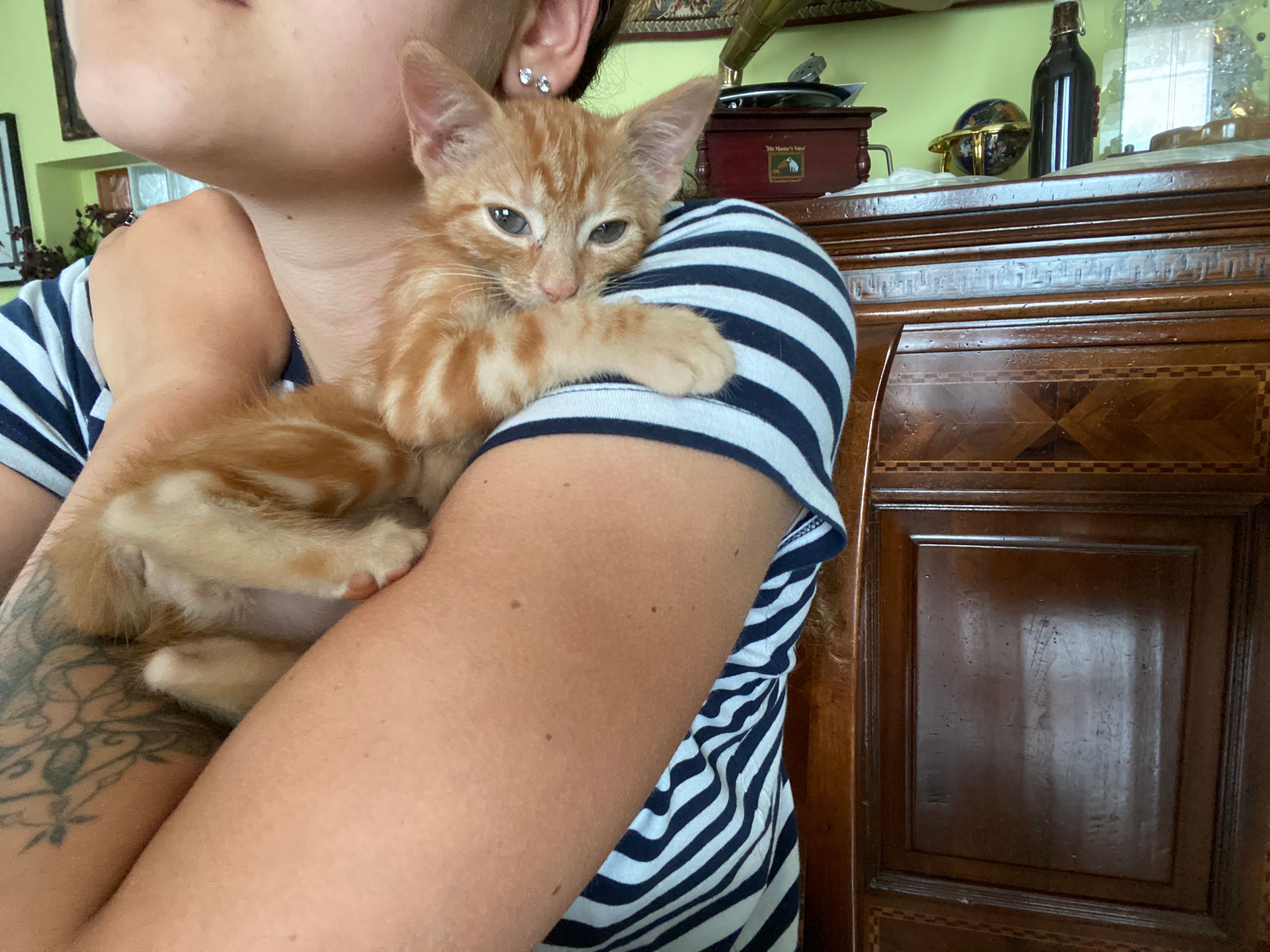 image-7