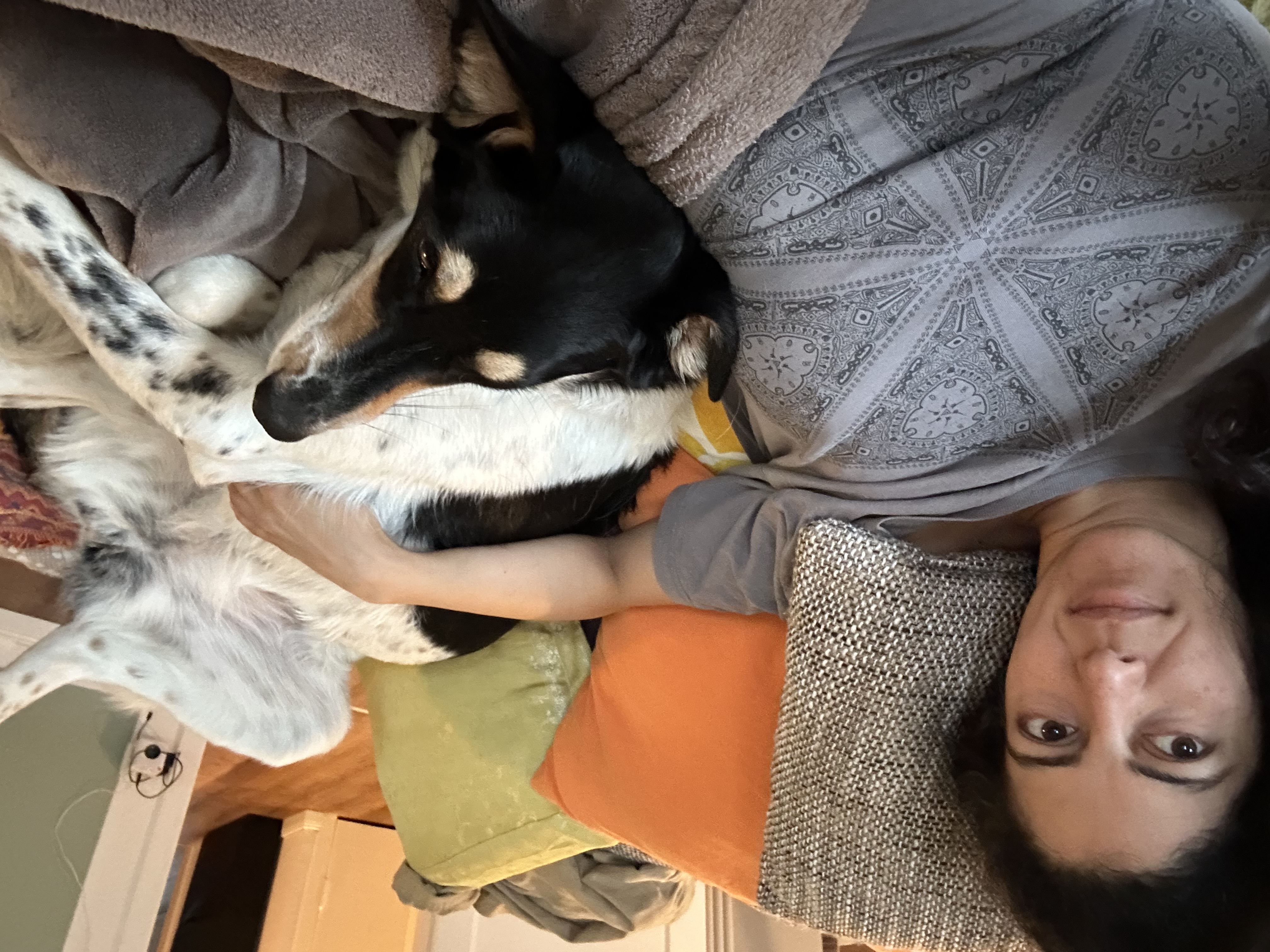 image-7