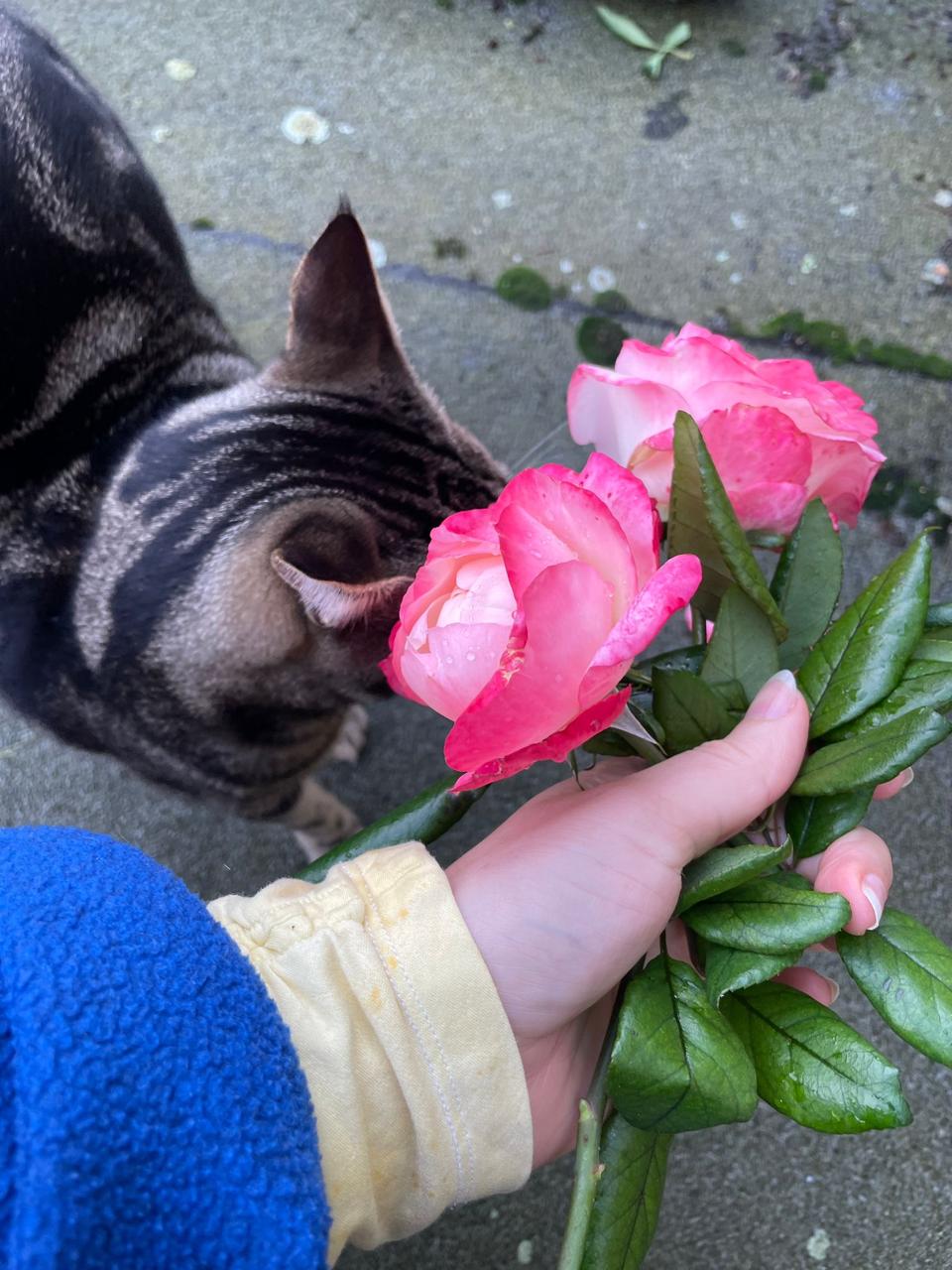 image-8