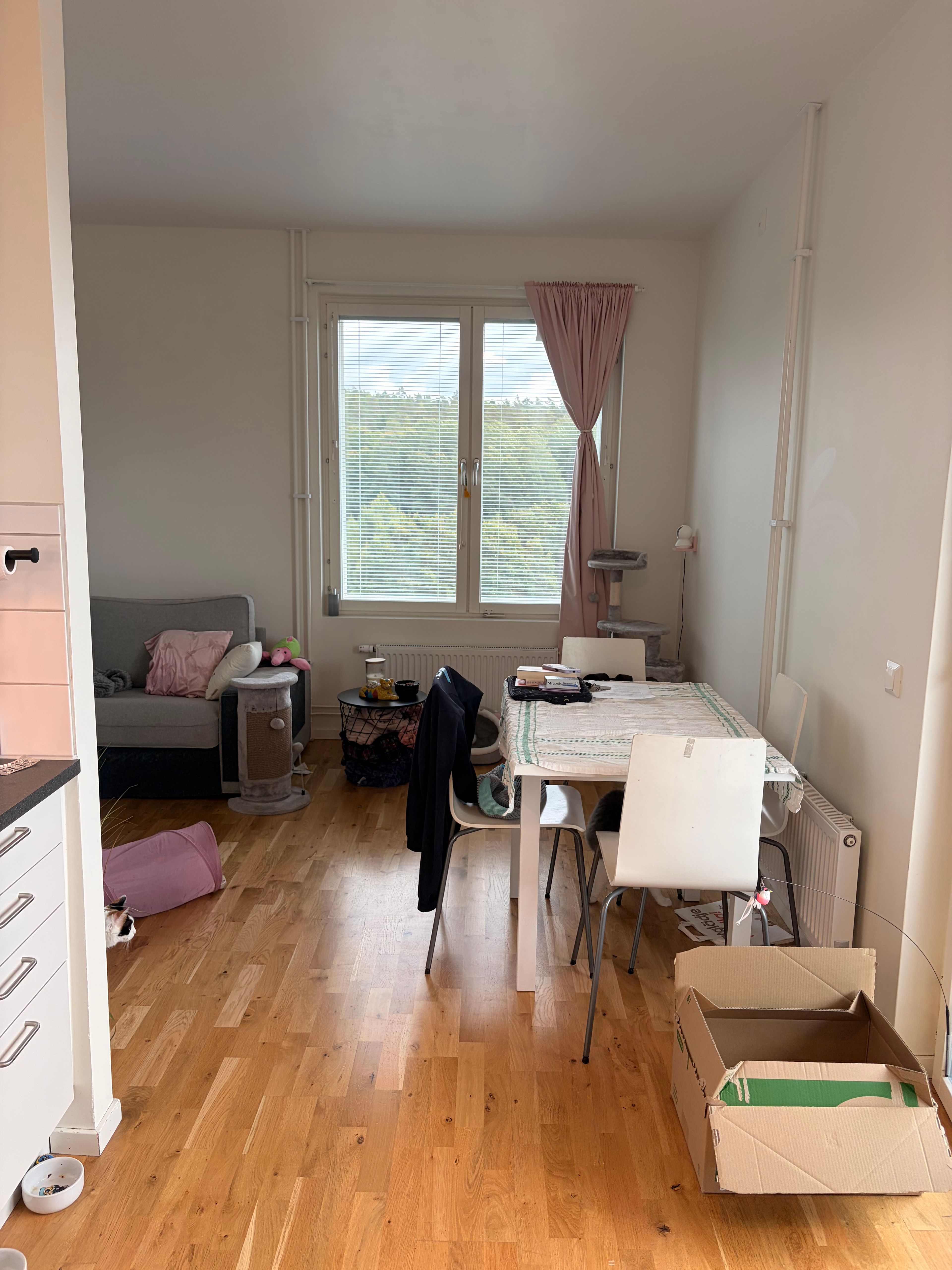 image-23