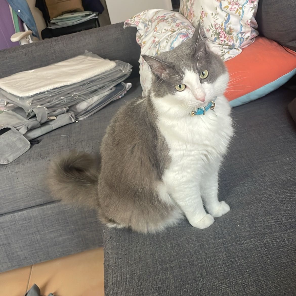 Mix