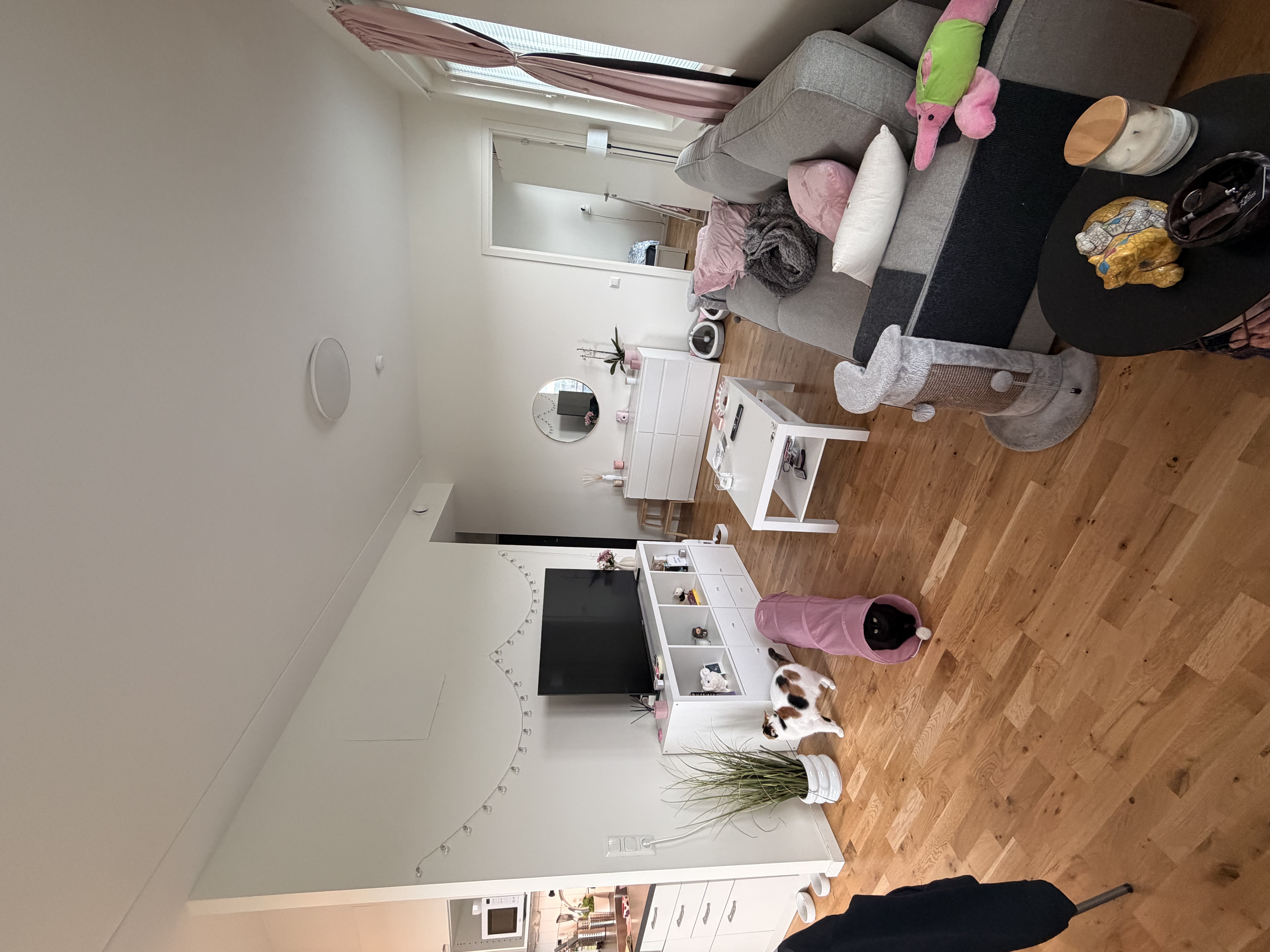 image-19