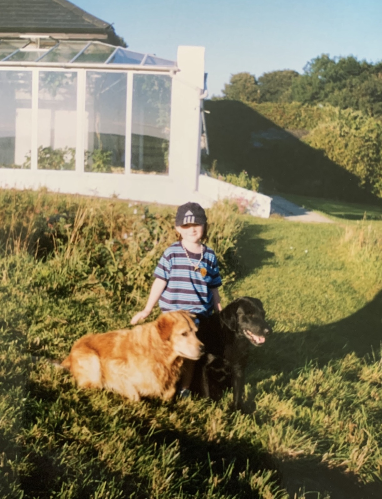 image-9