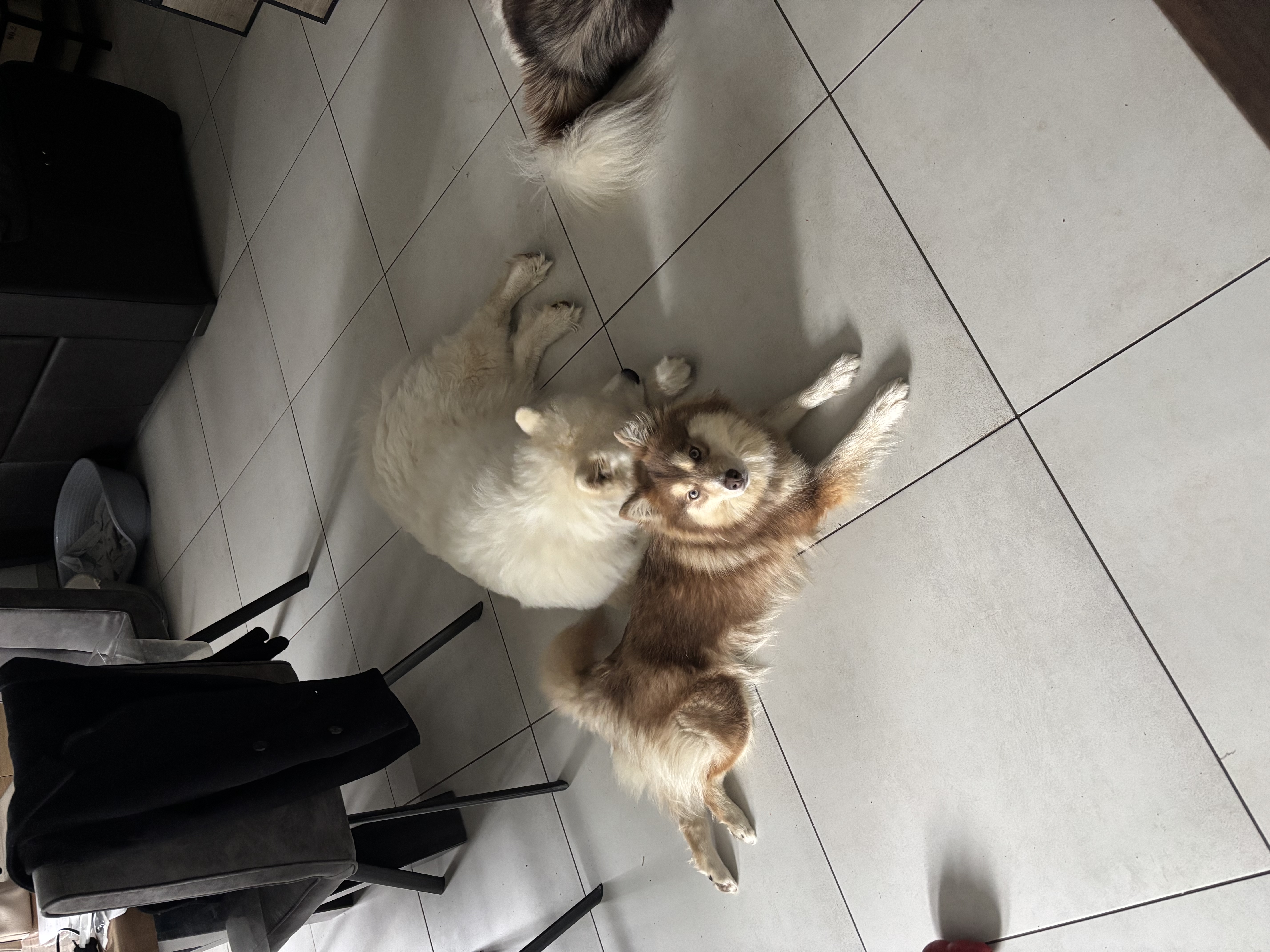 image-3