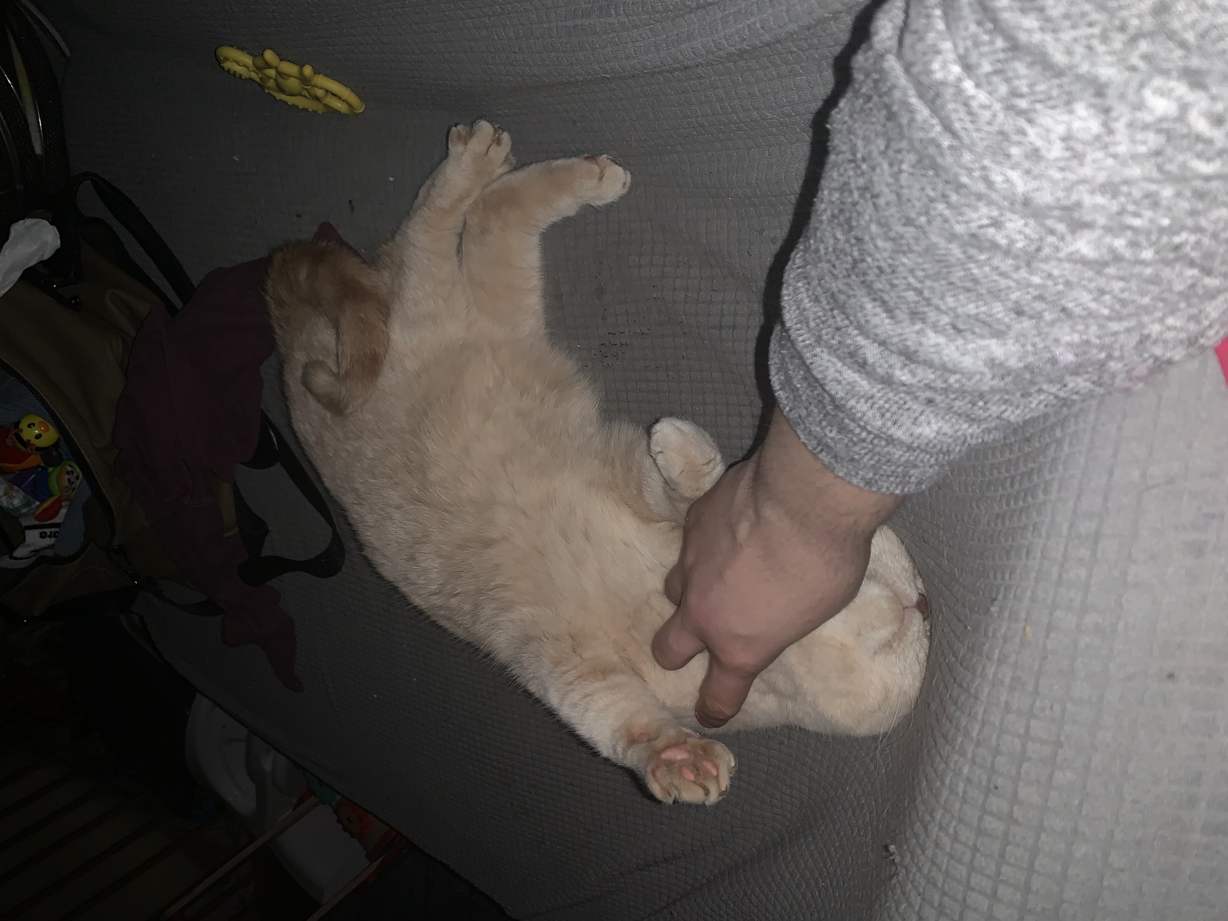 image-8