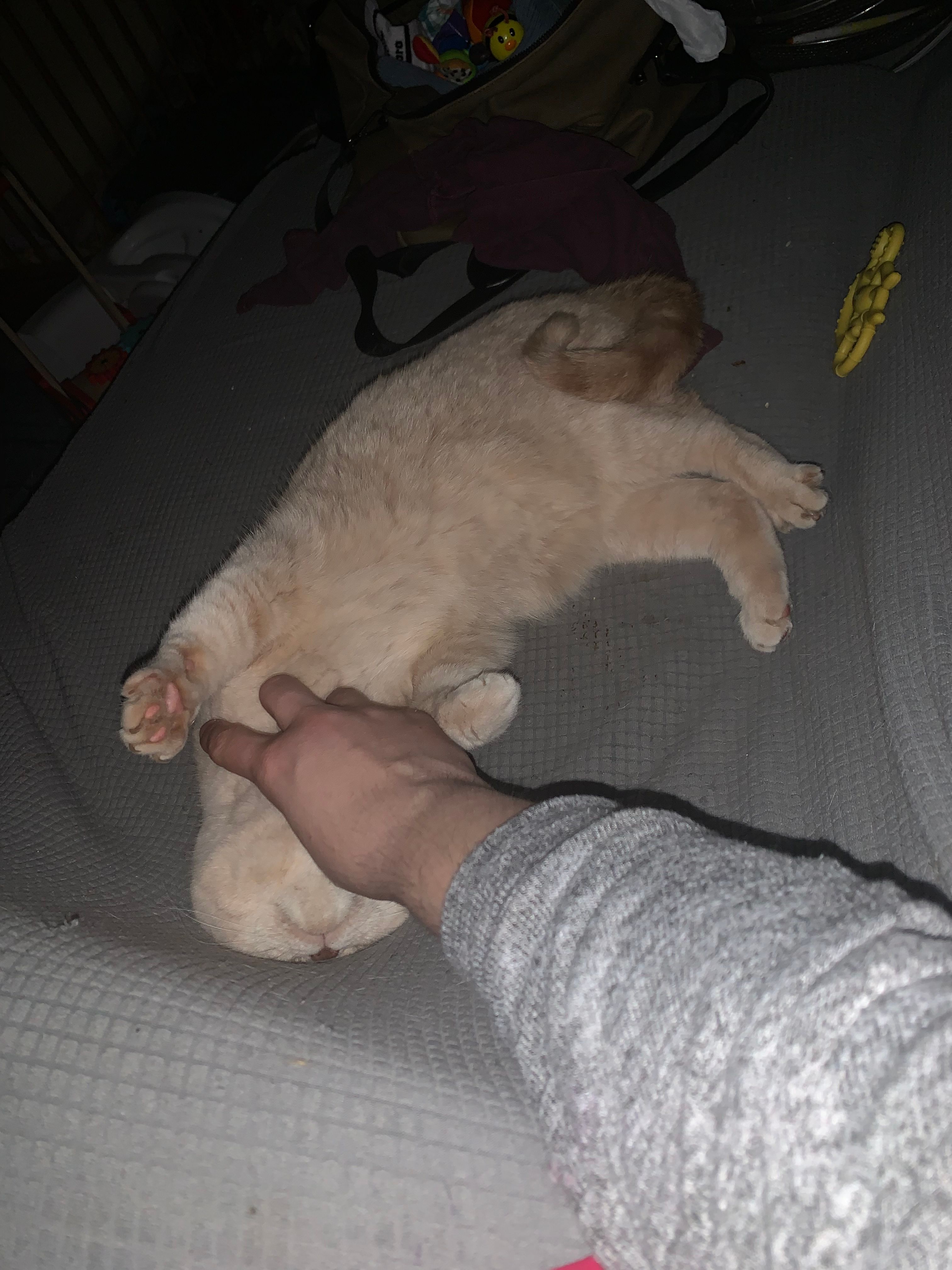 image-8