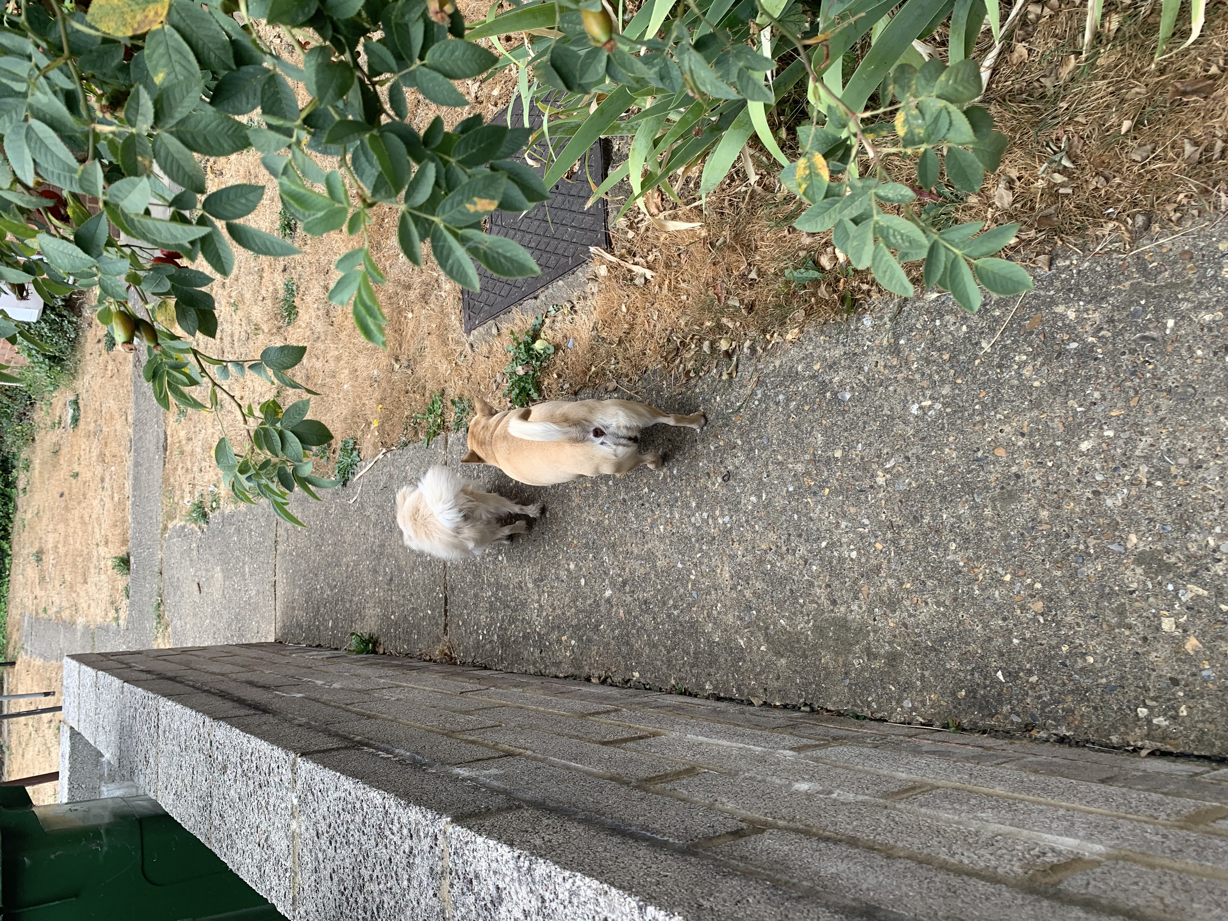 image-7