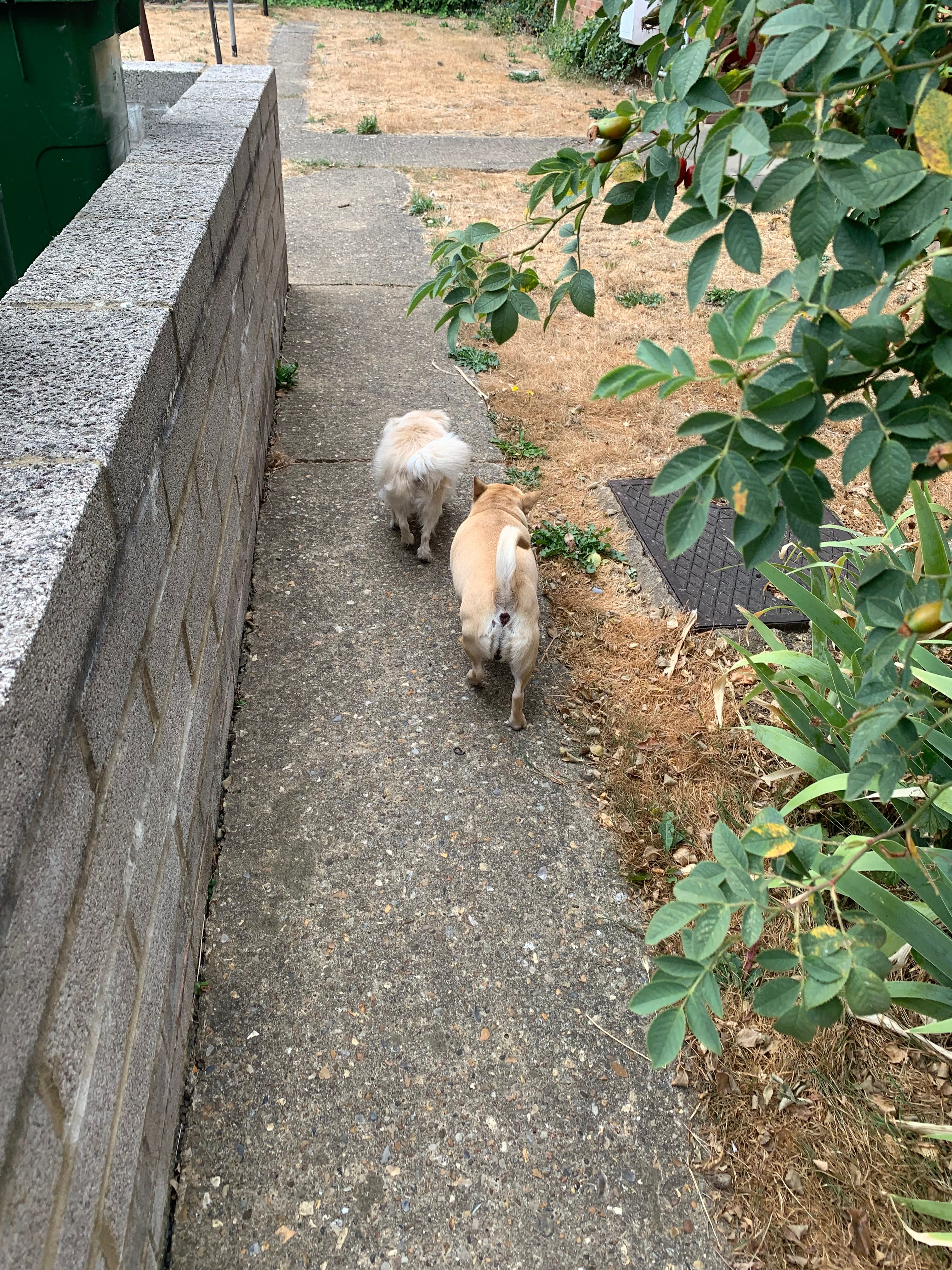 image-7