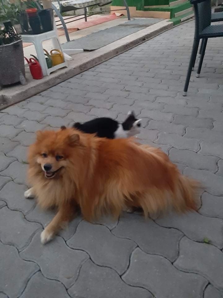 image-9