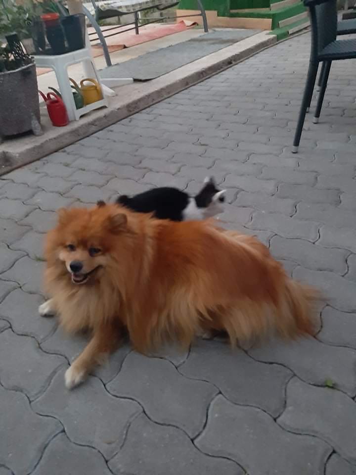 image-9