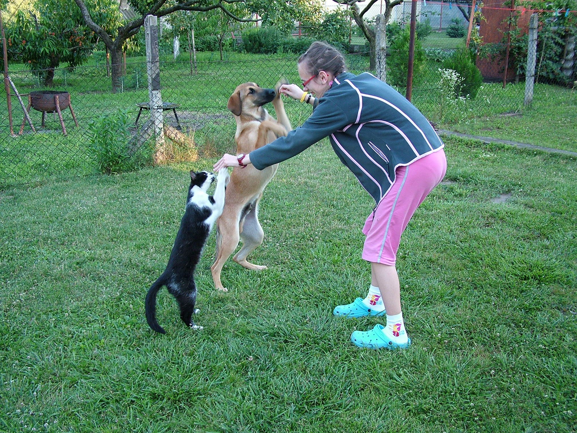 image-11