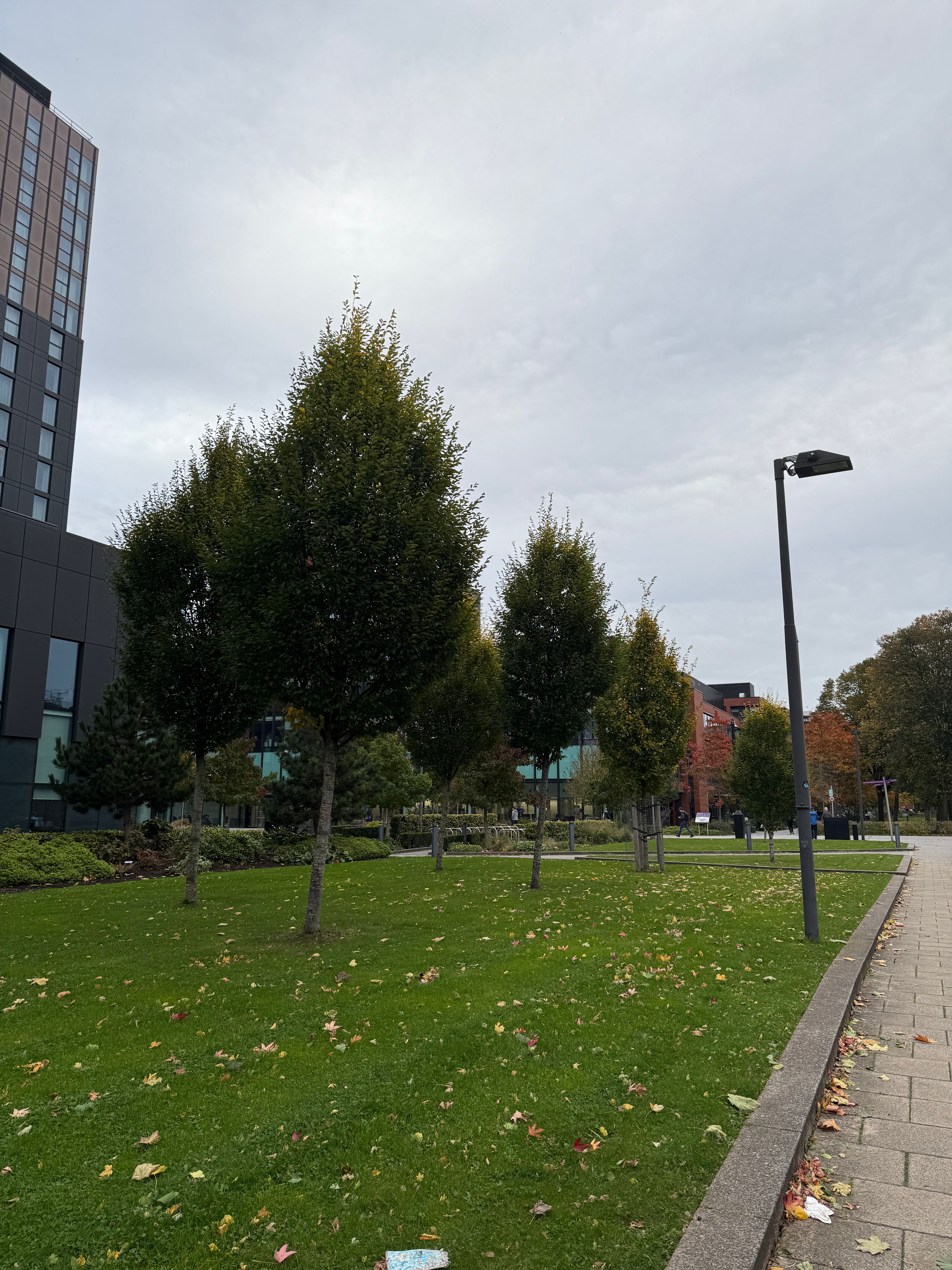 image-19
