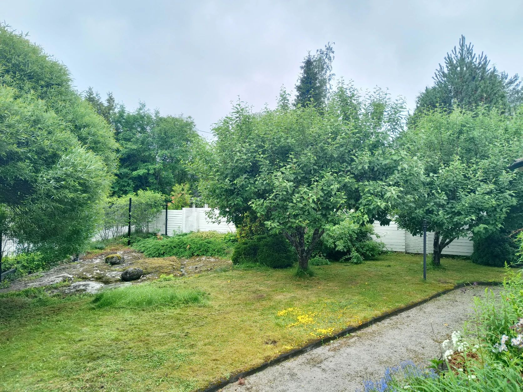 image-17