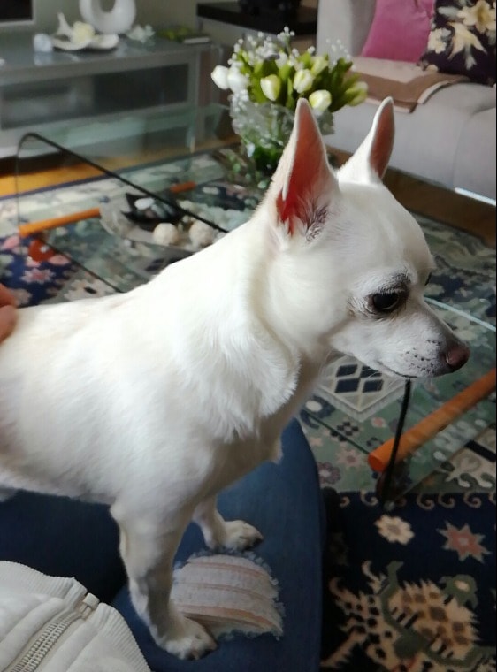 image-3