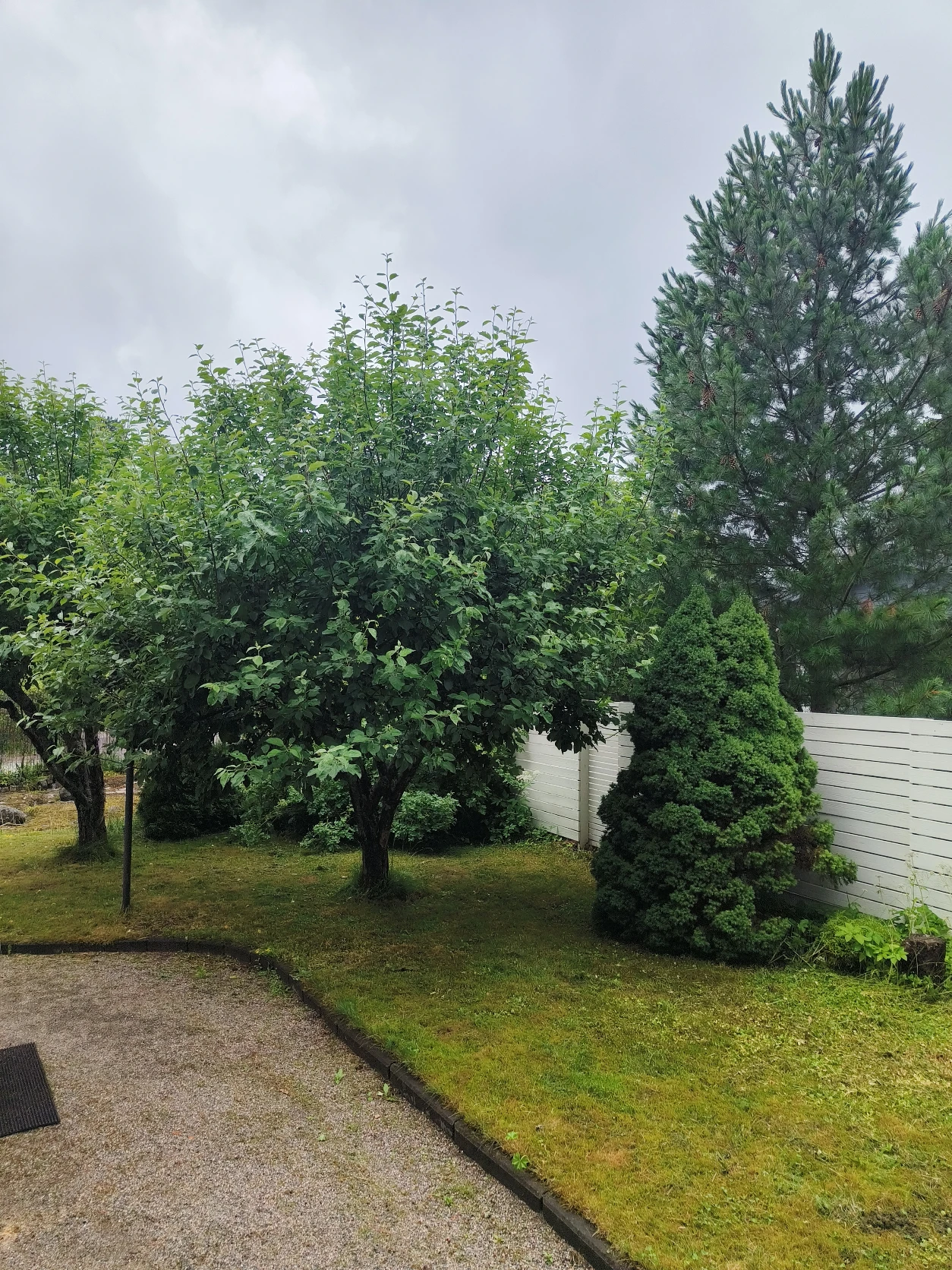 image-19