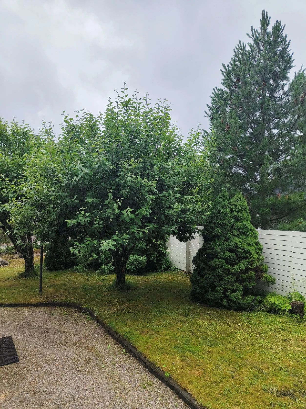 image-19