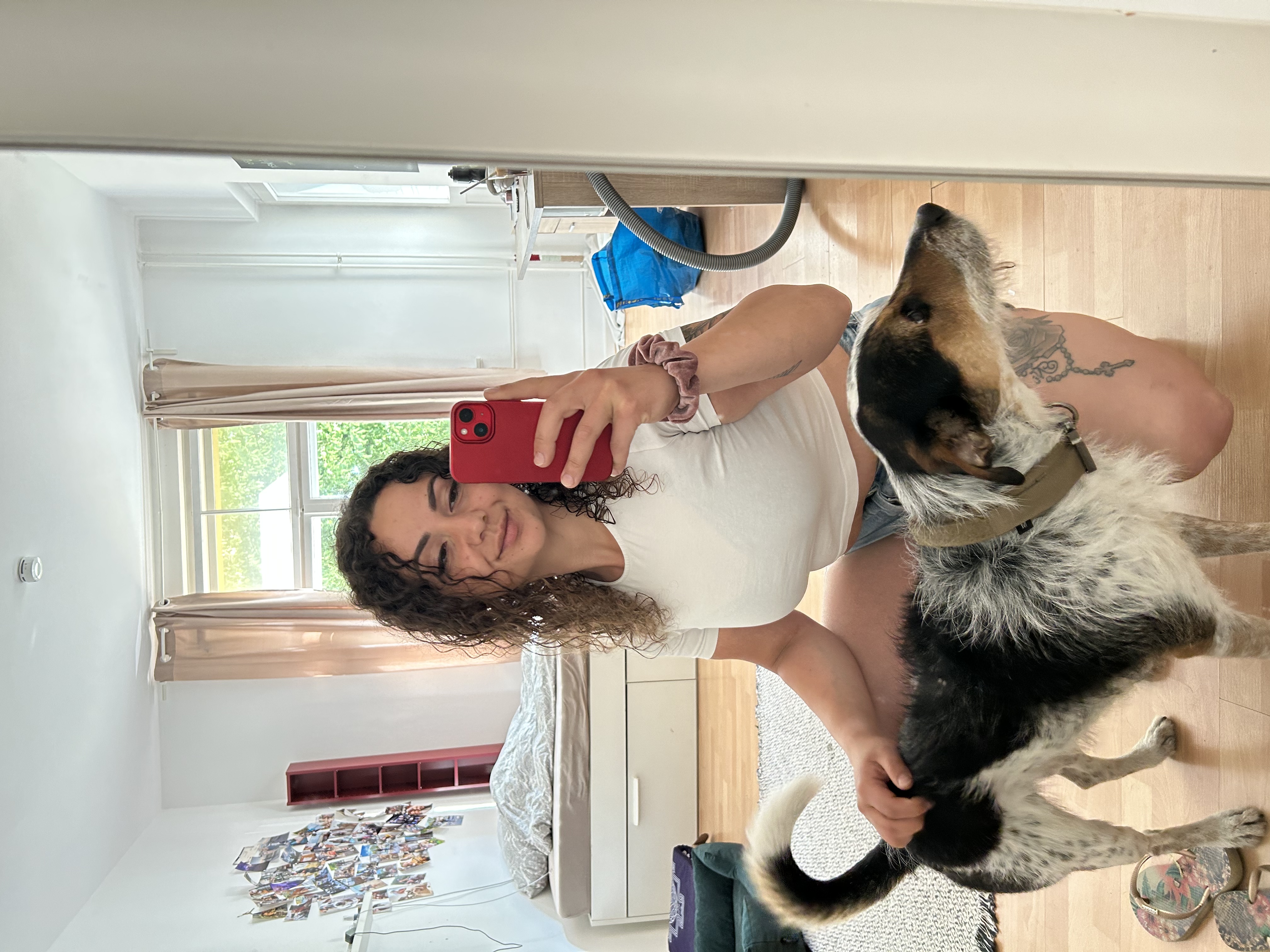 image-6