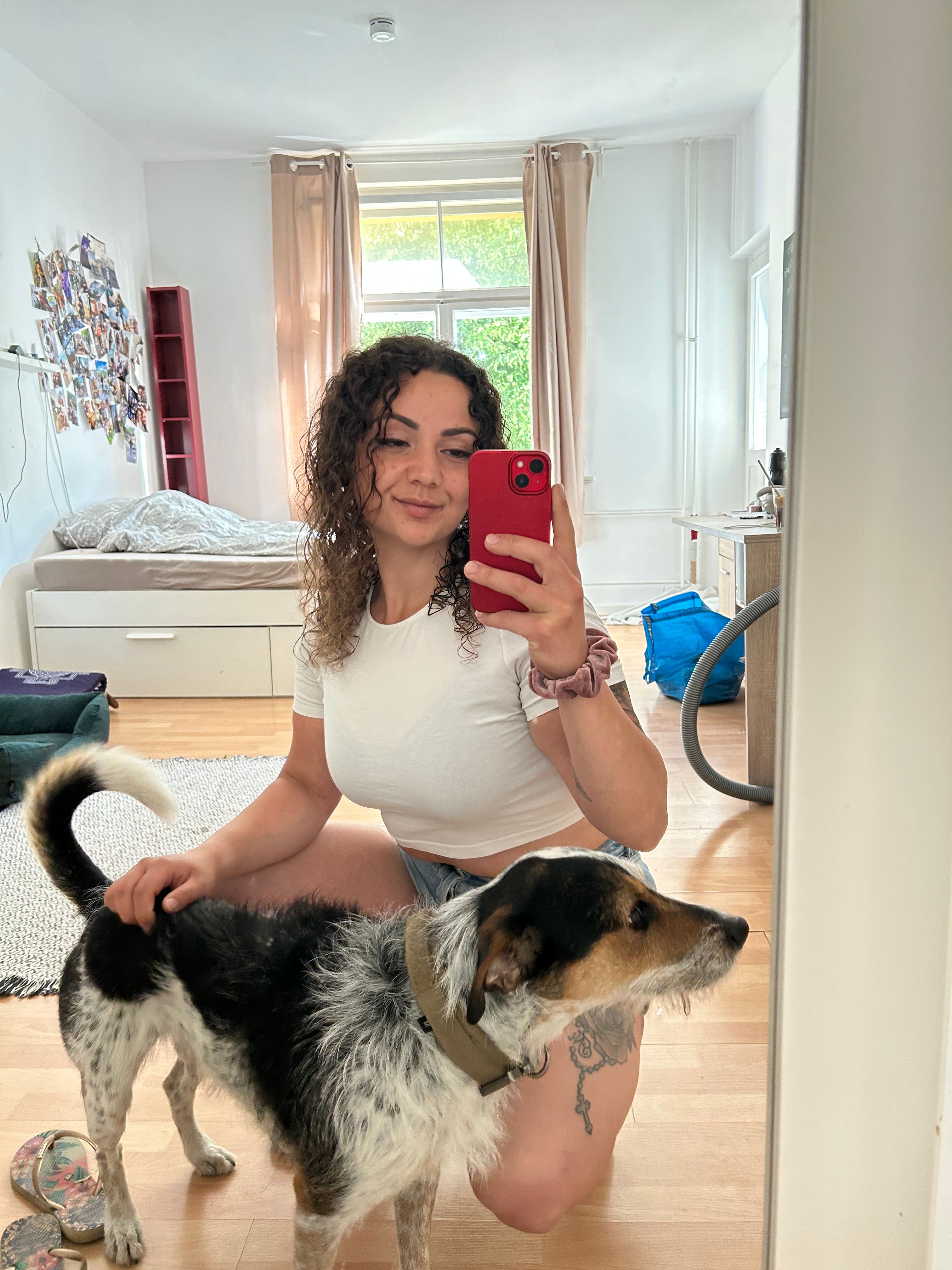 image-6
