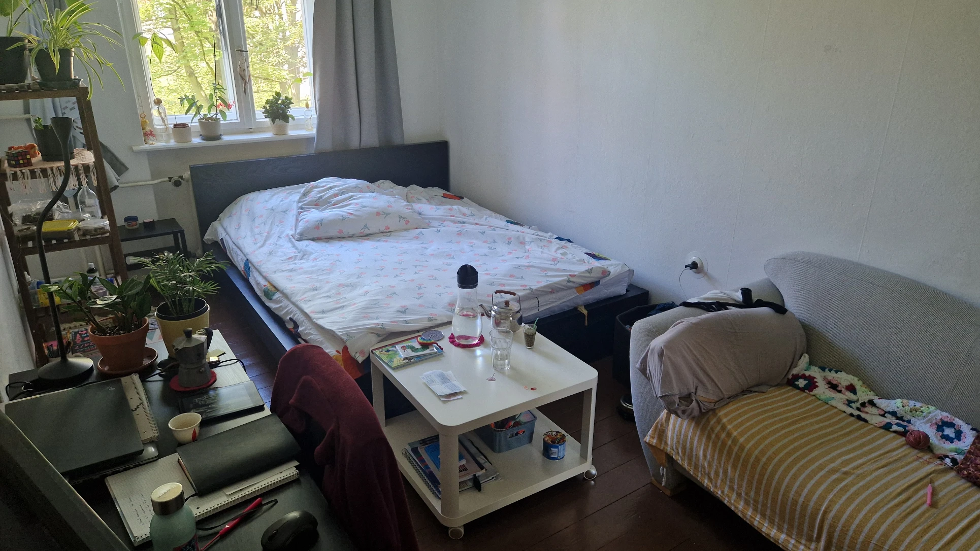 image-11