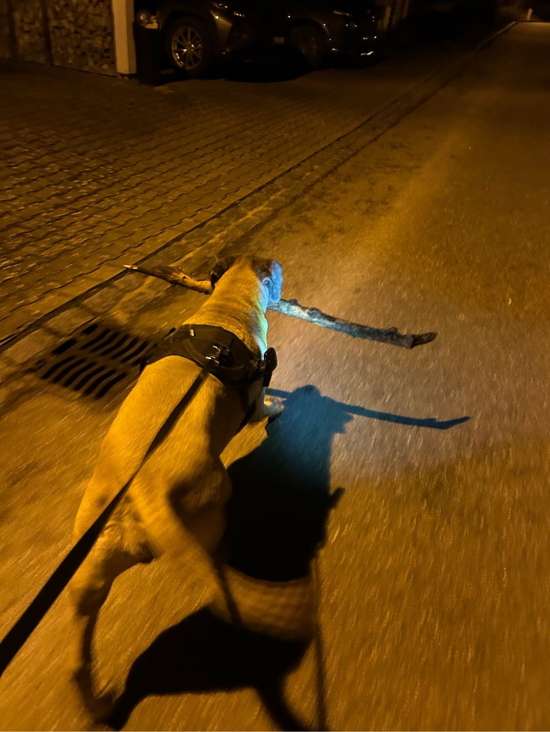 image-7