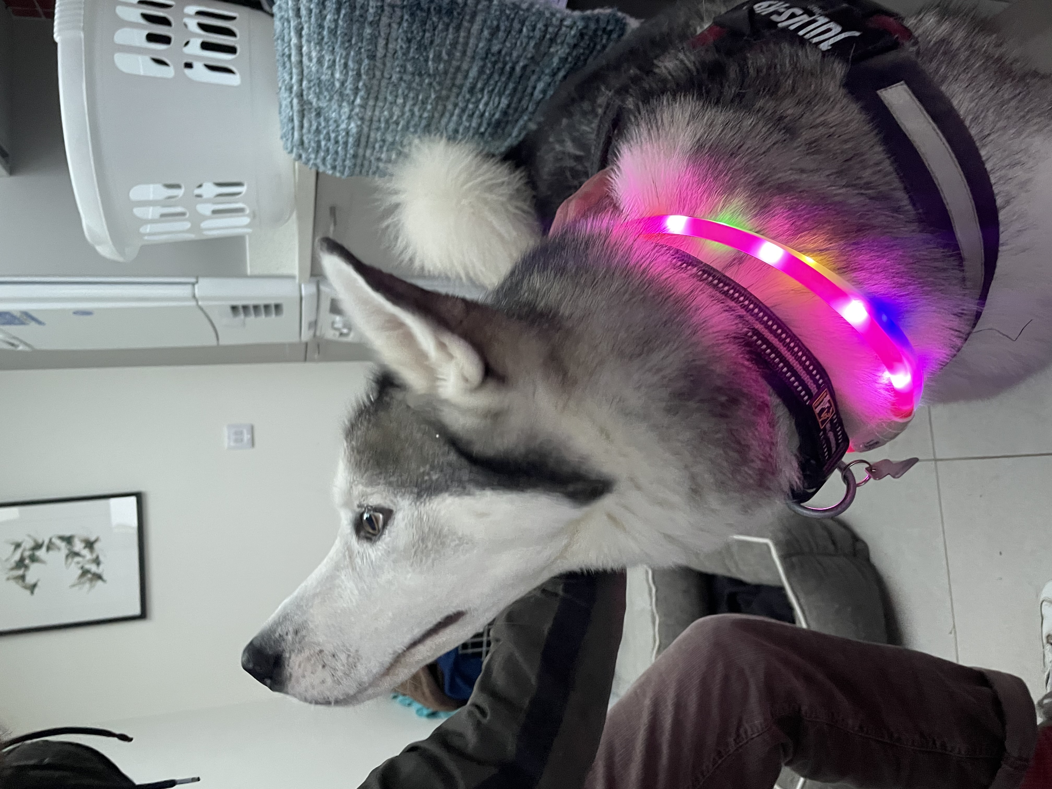 image-9