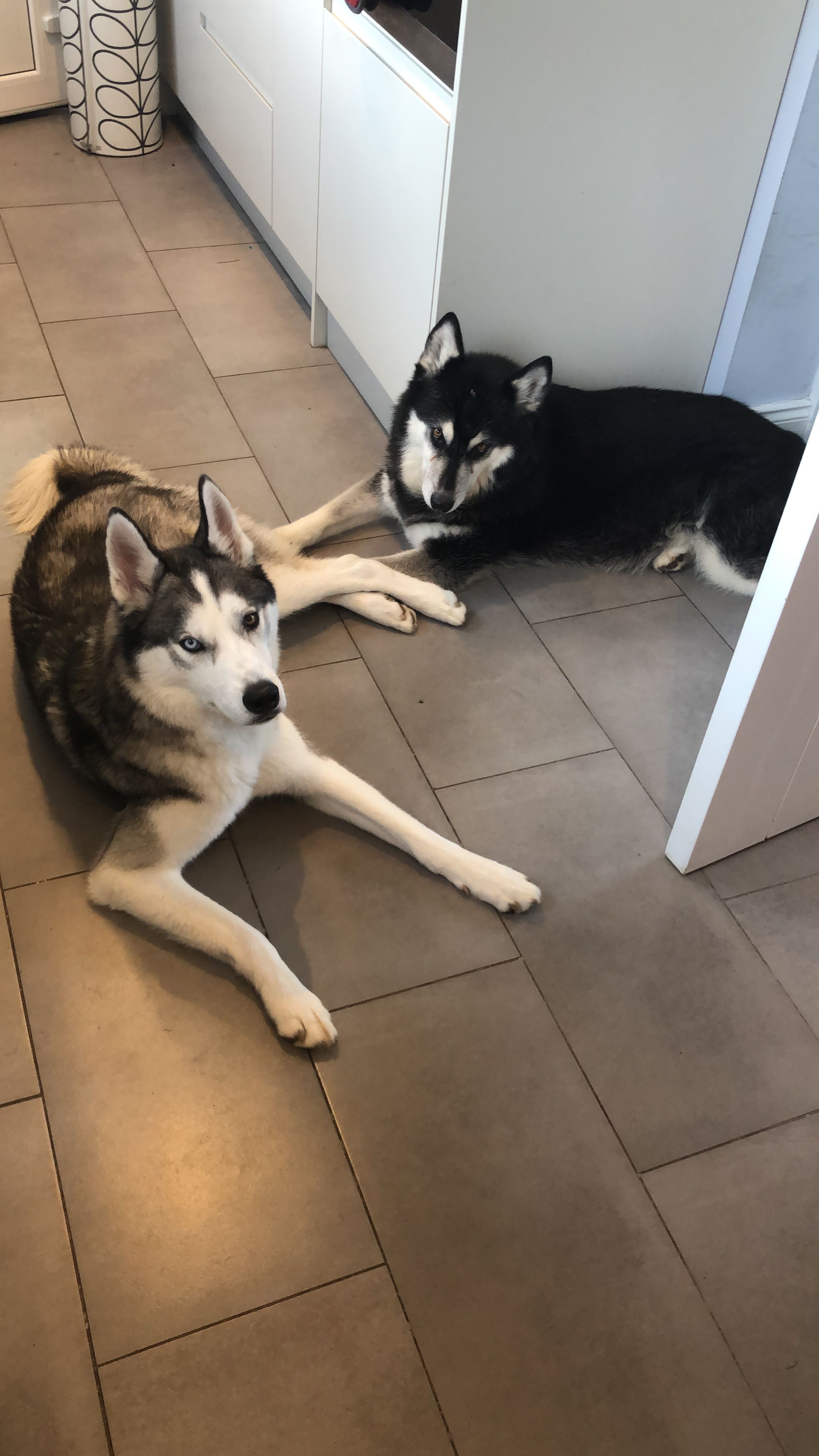image-16