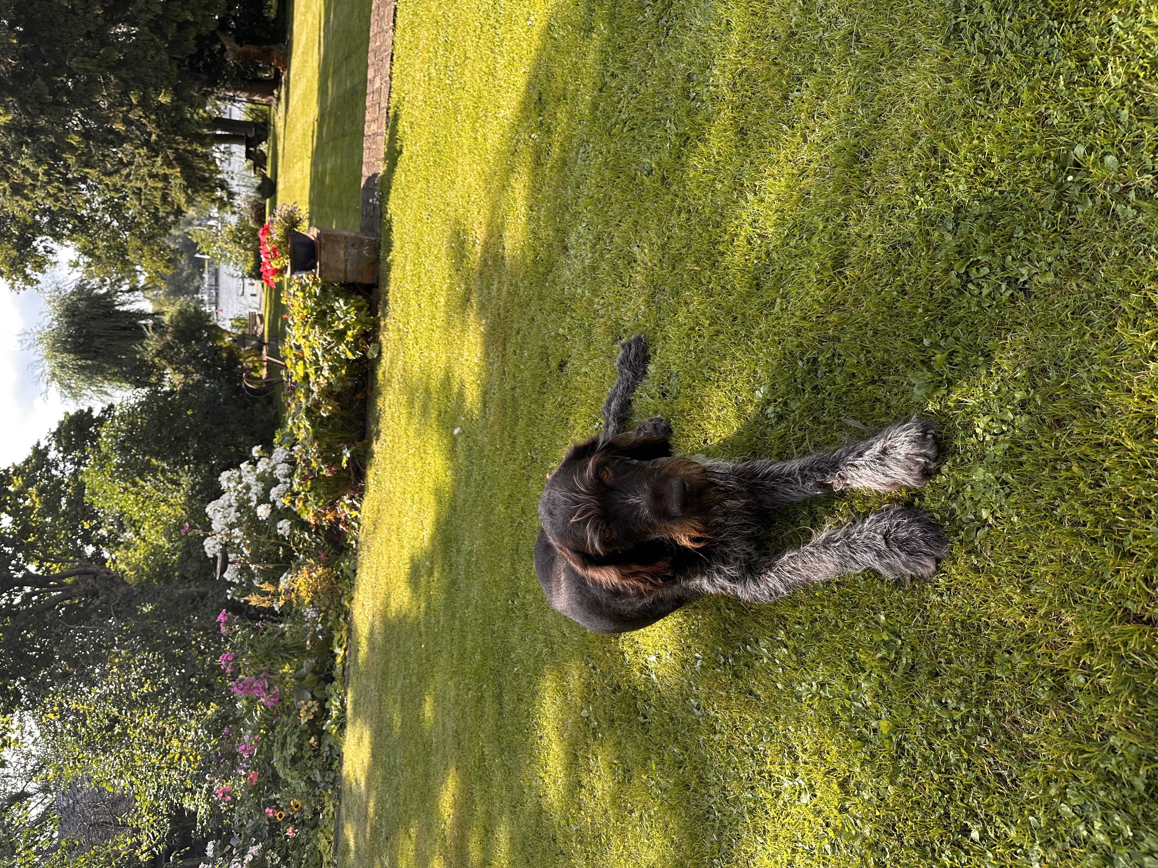 image-6