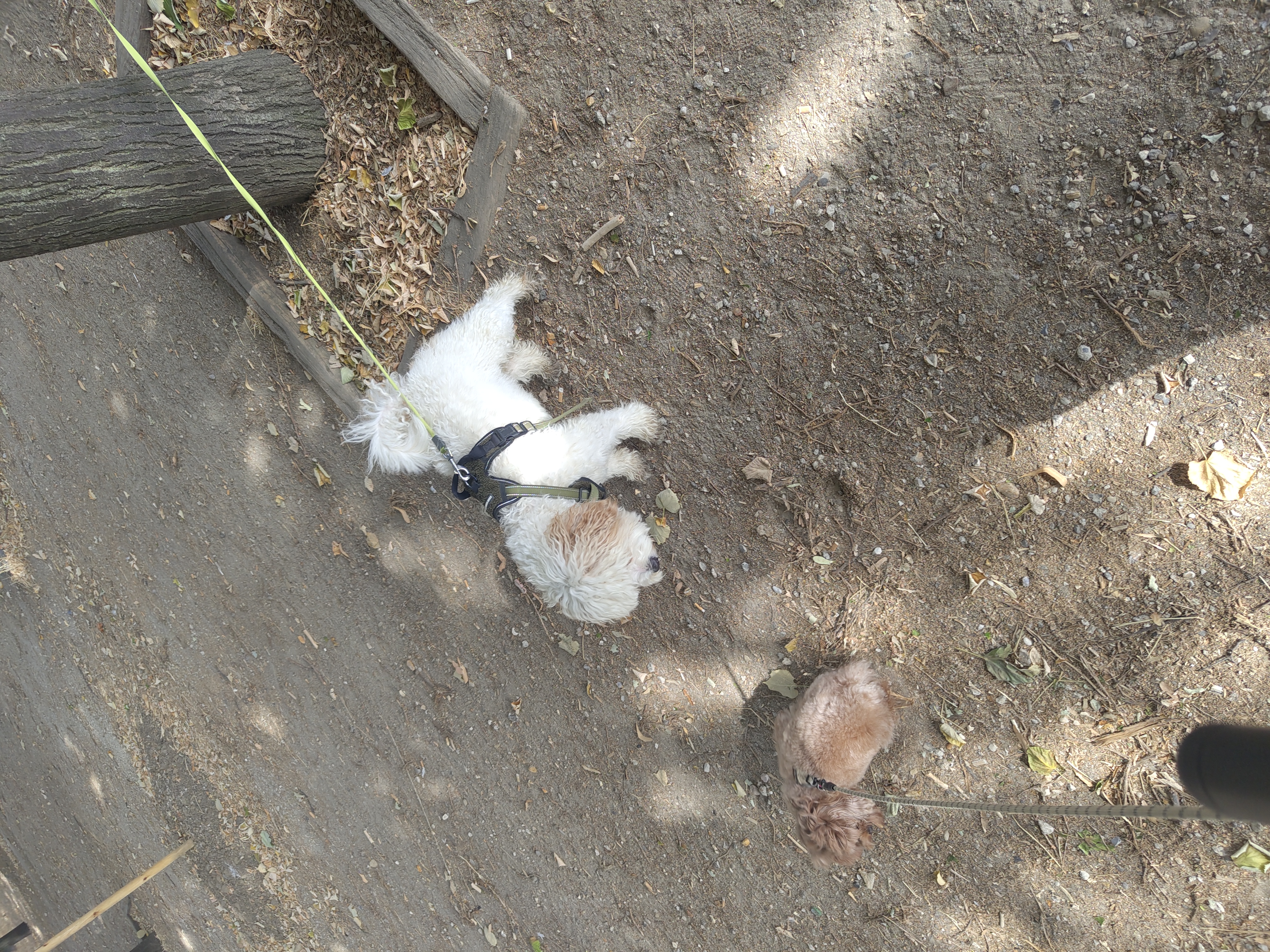 image-13