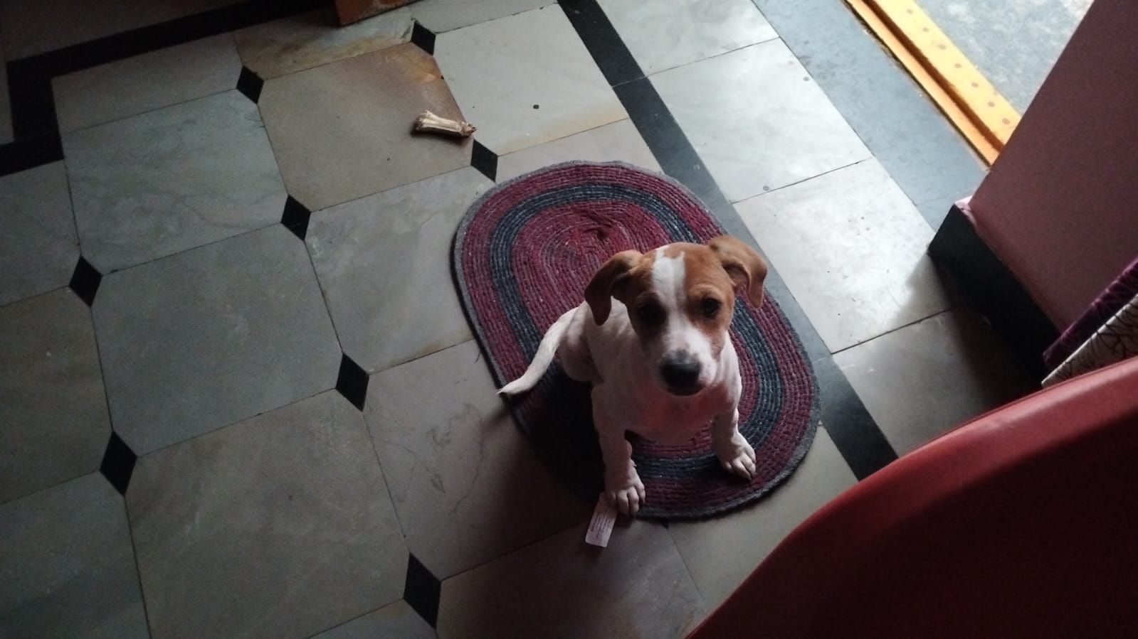 image-11