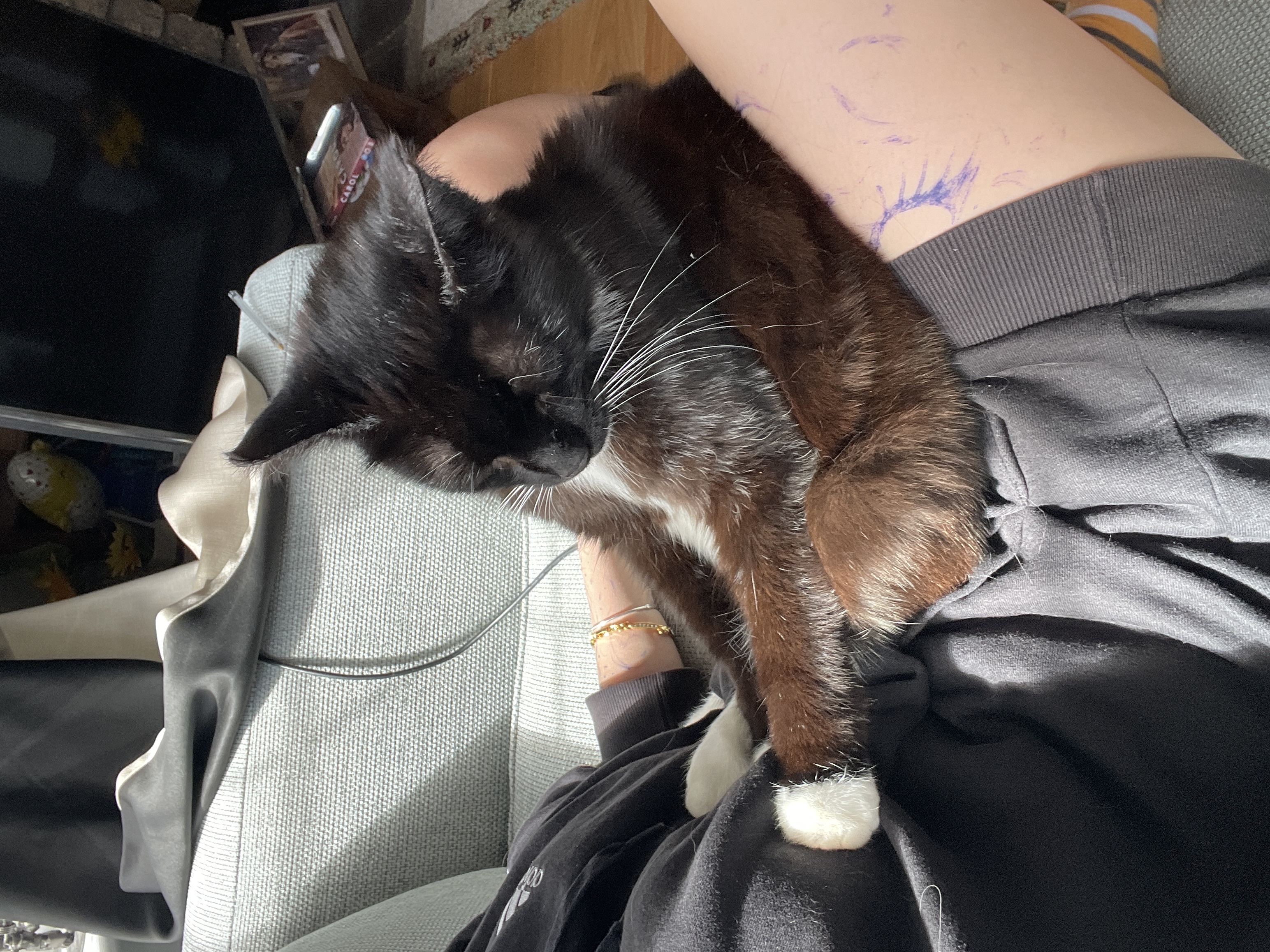 image-6