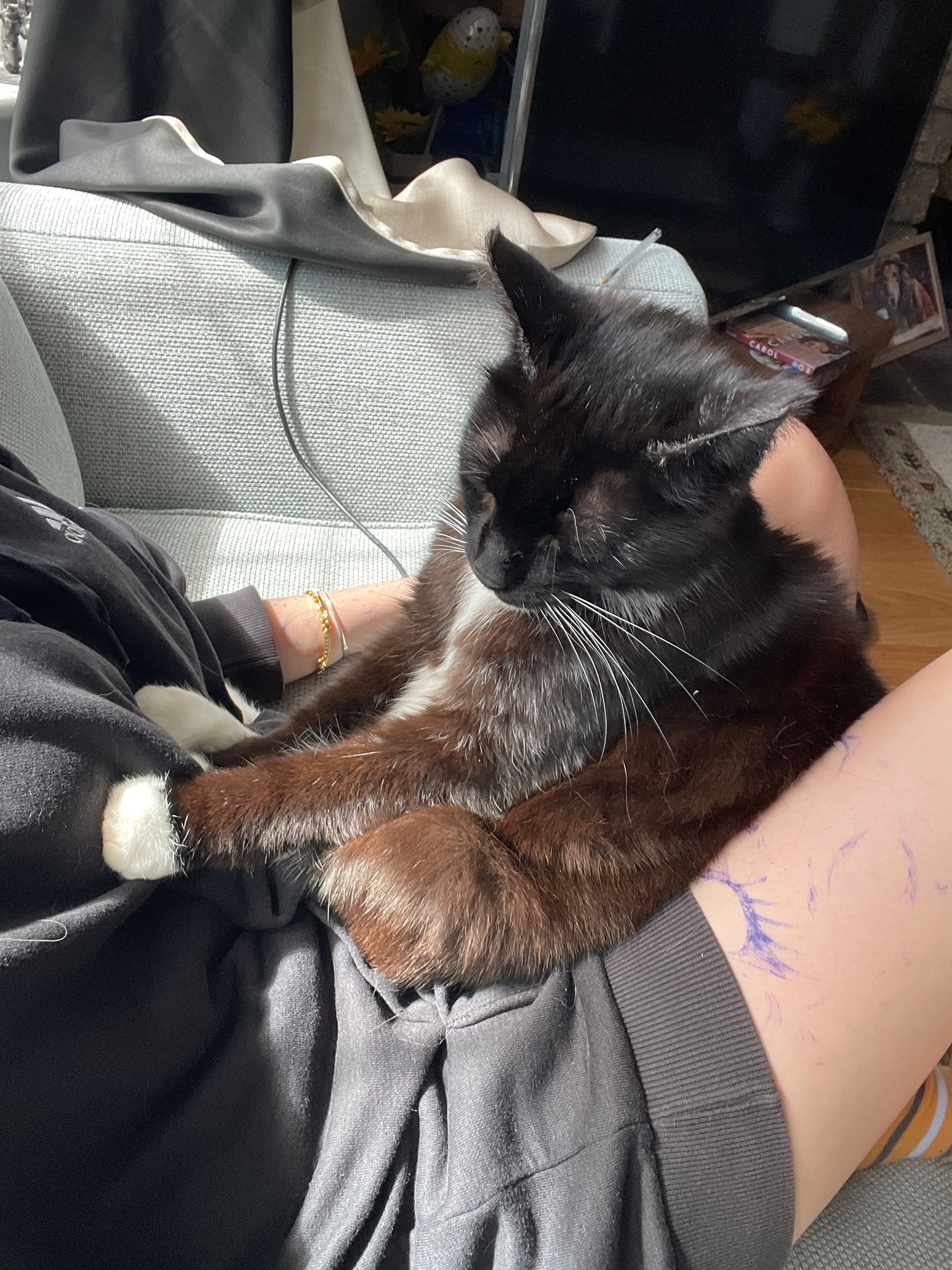 image-6
