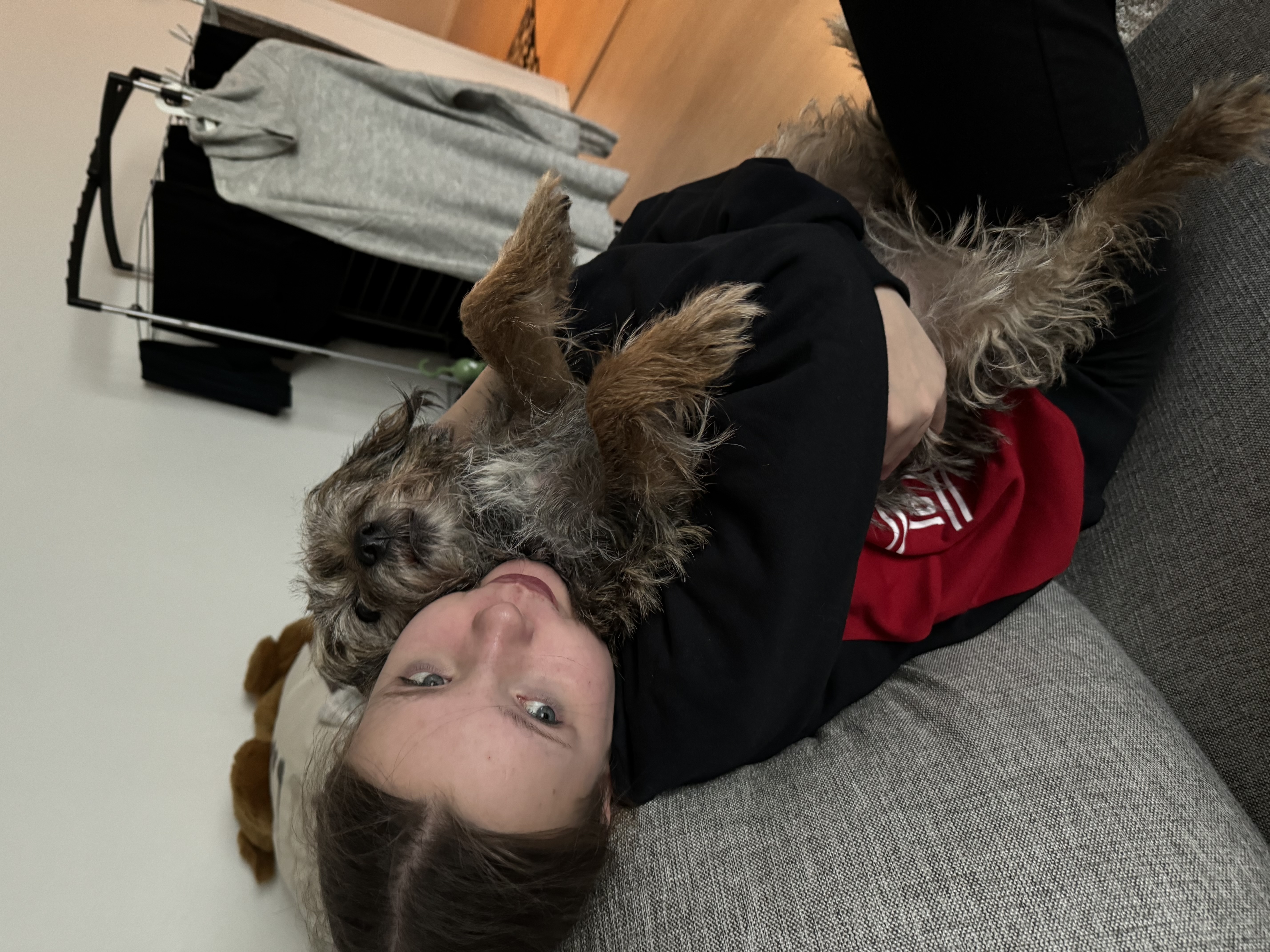 image-5