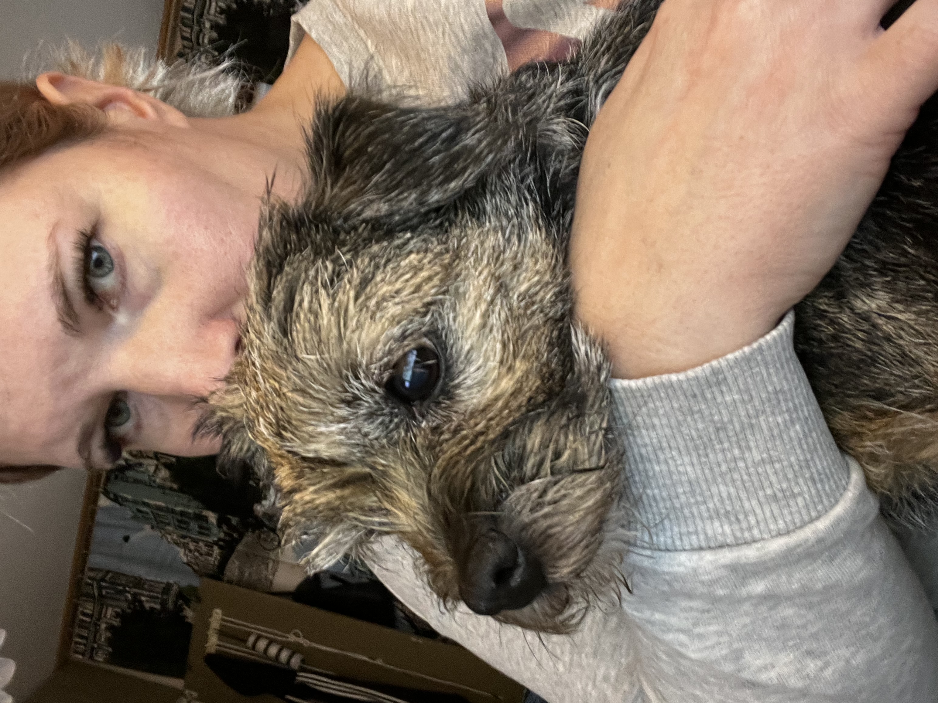 image-10