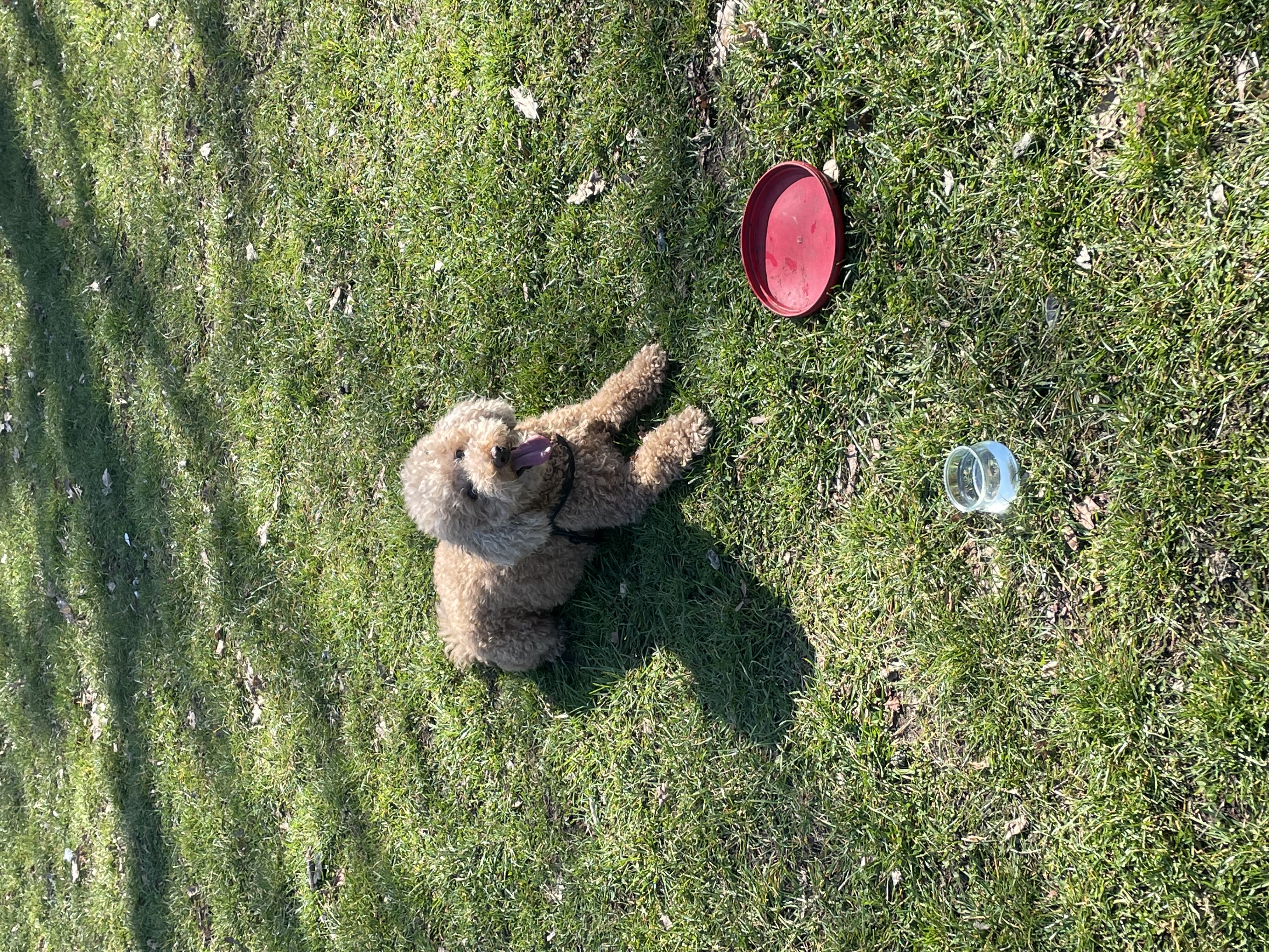 image-5
