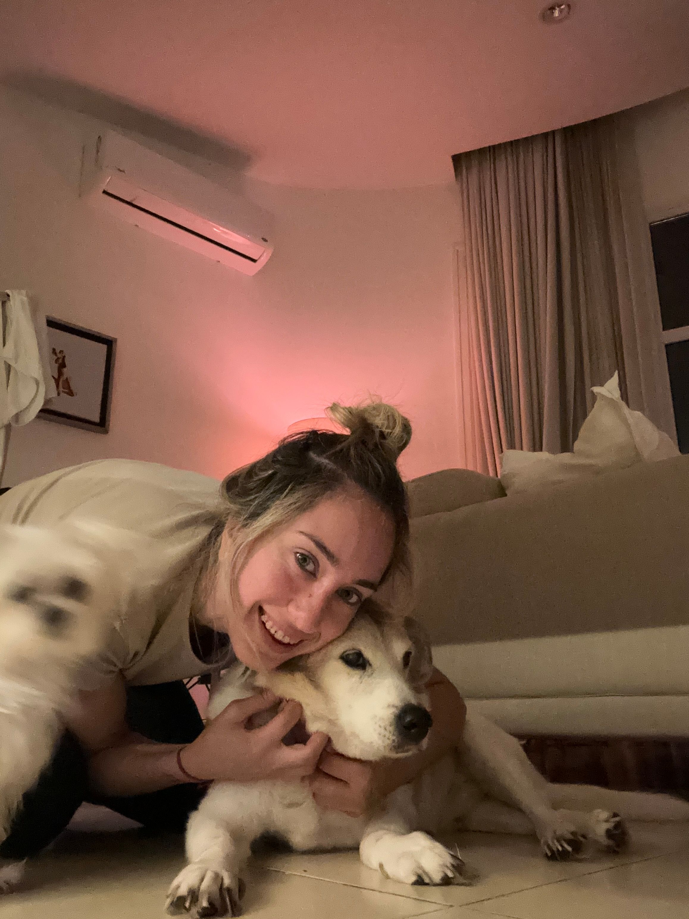 image-8