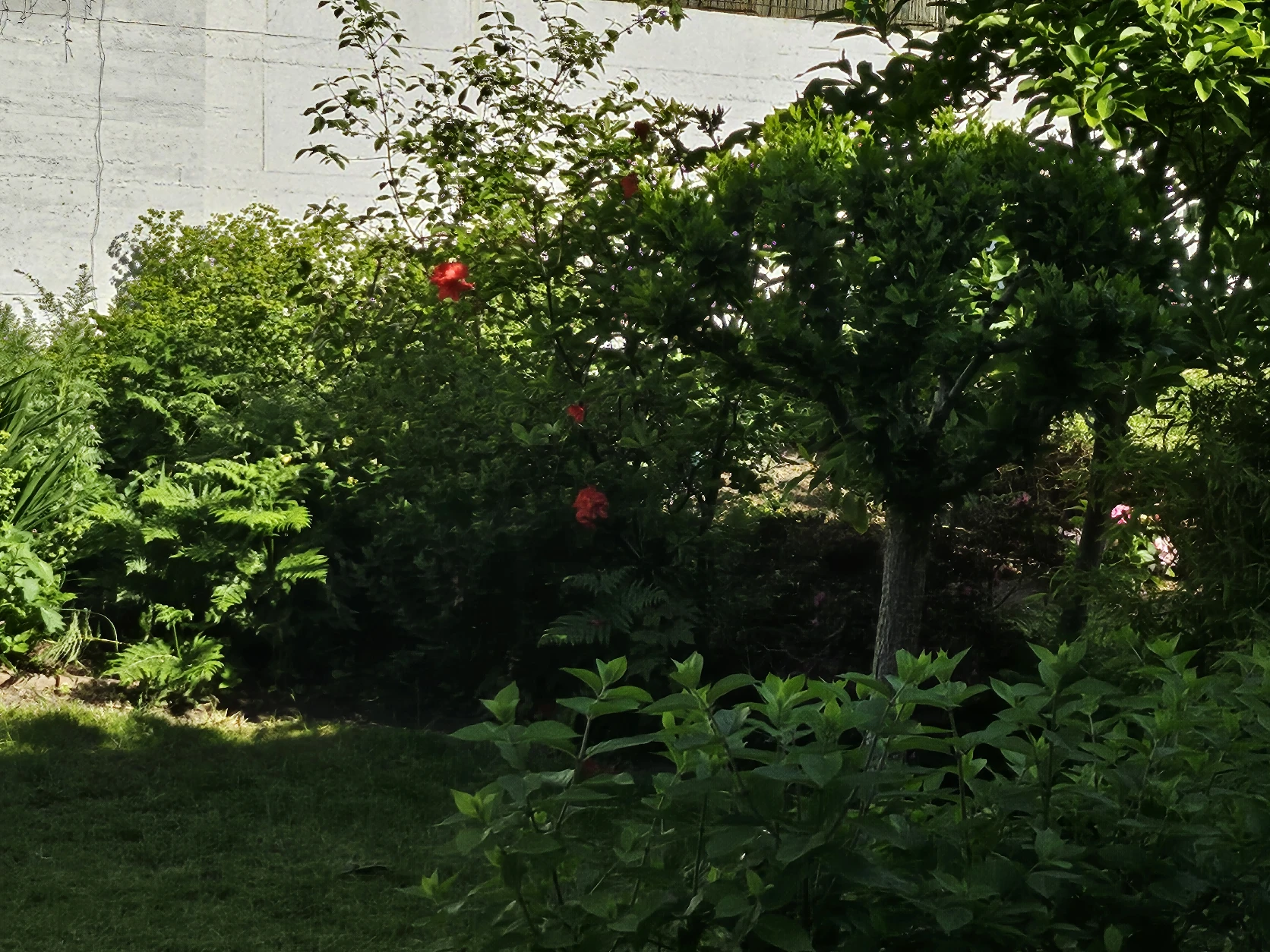 image-11