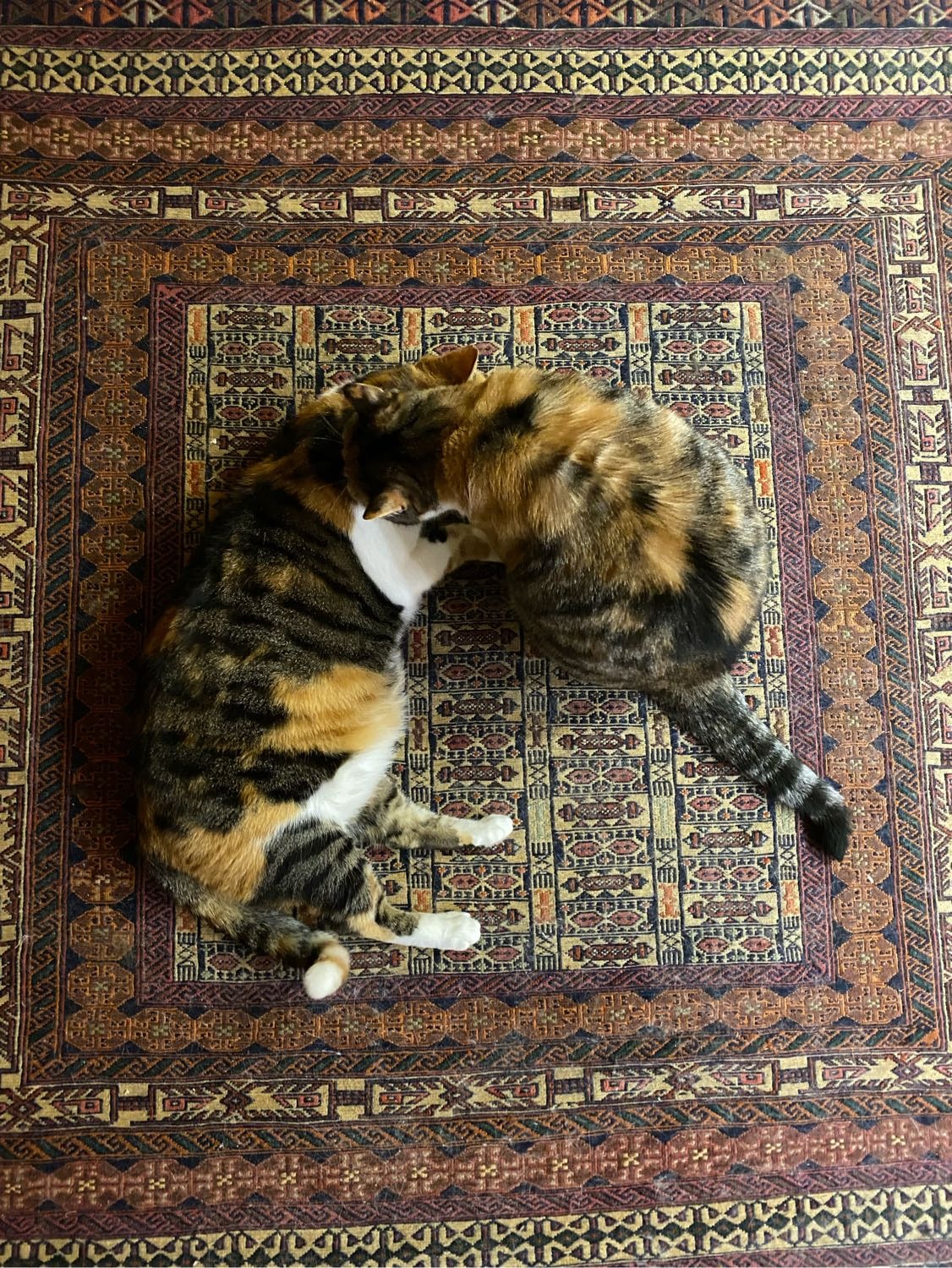 image-8