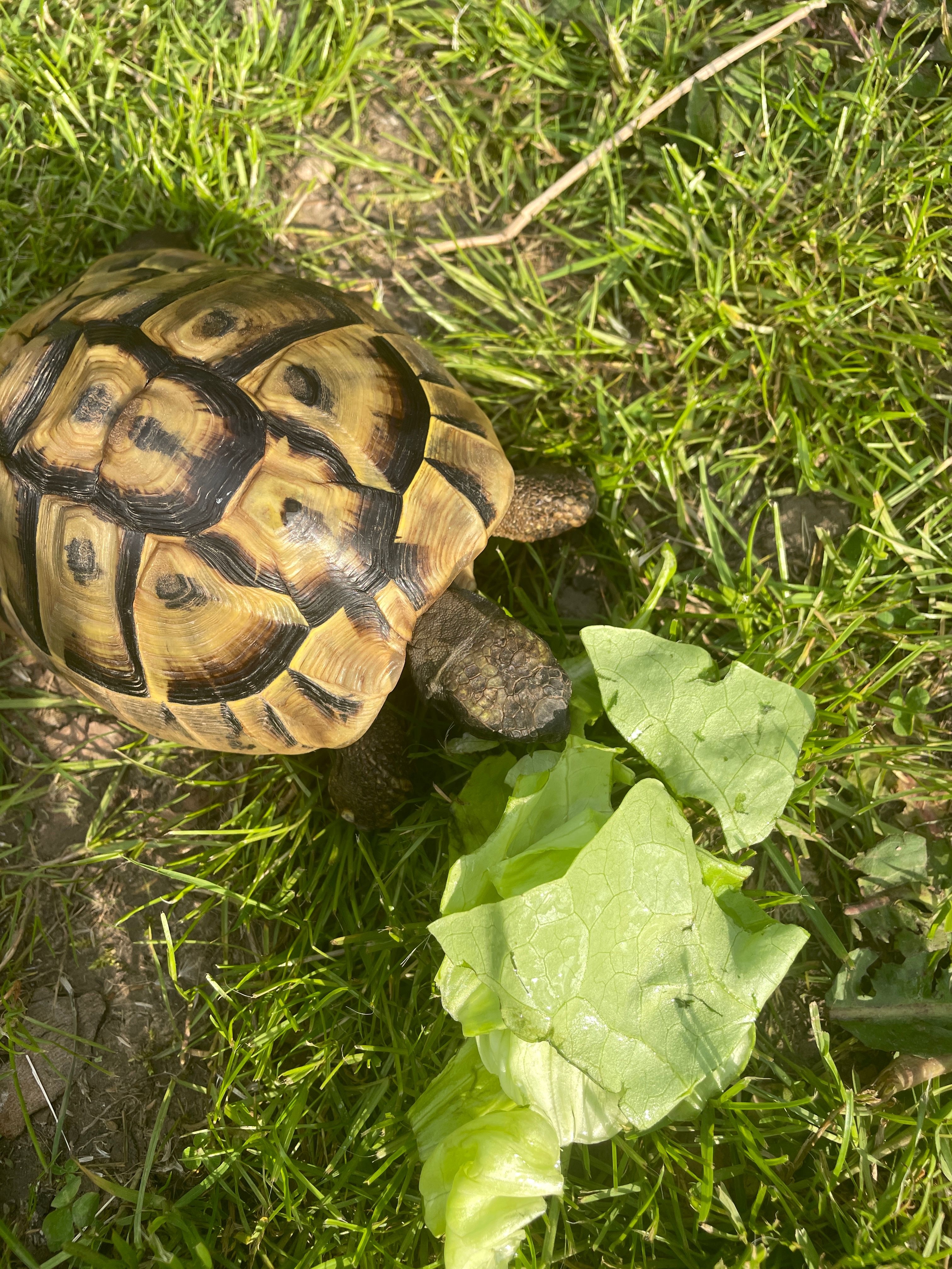 image-8