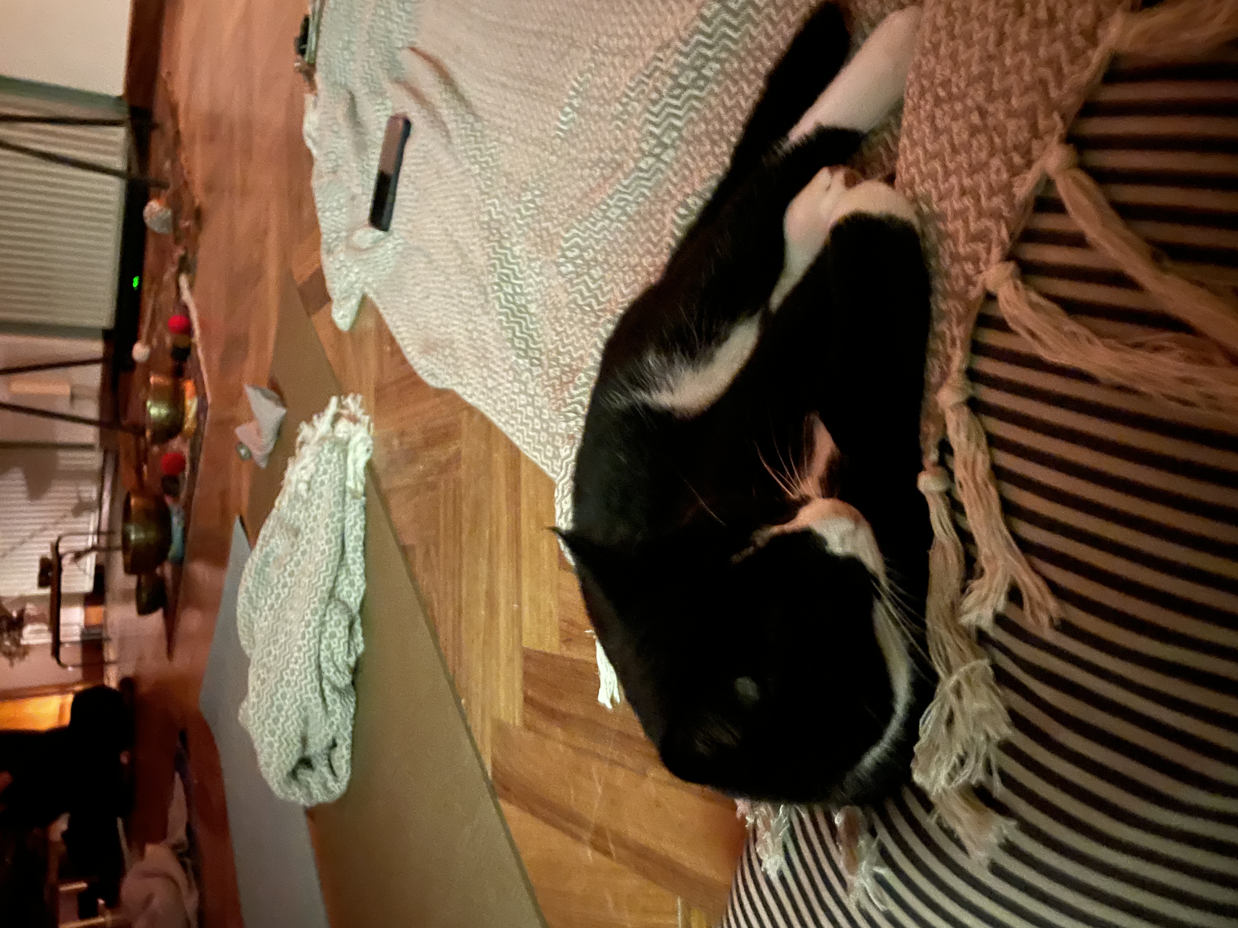 image-9
