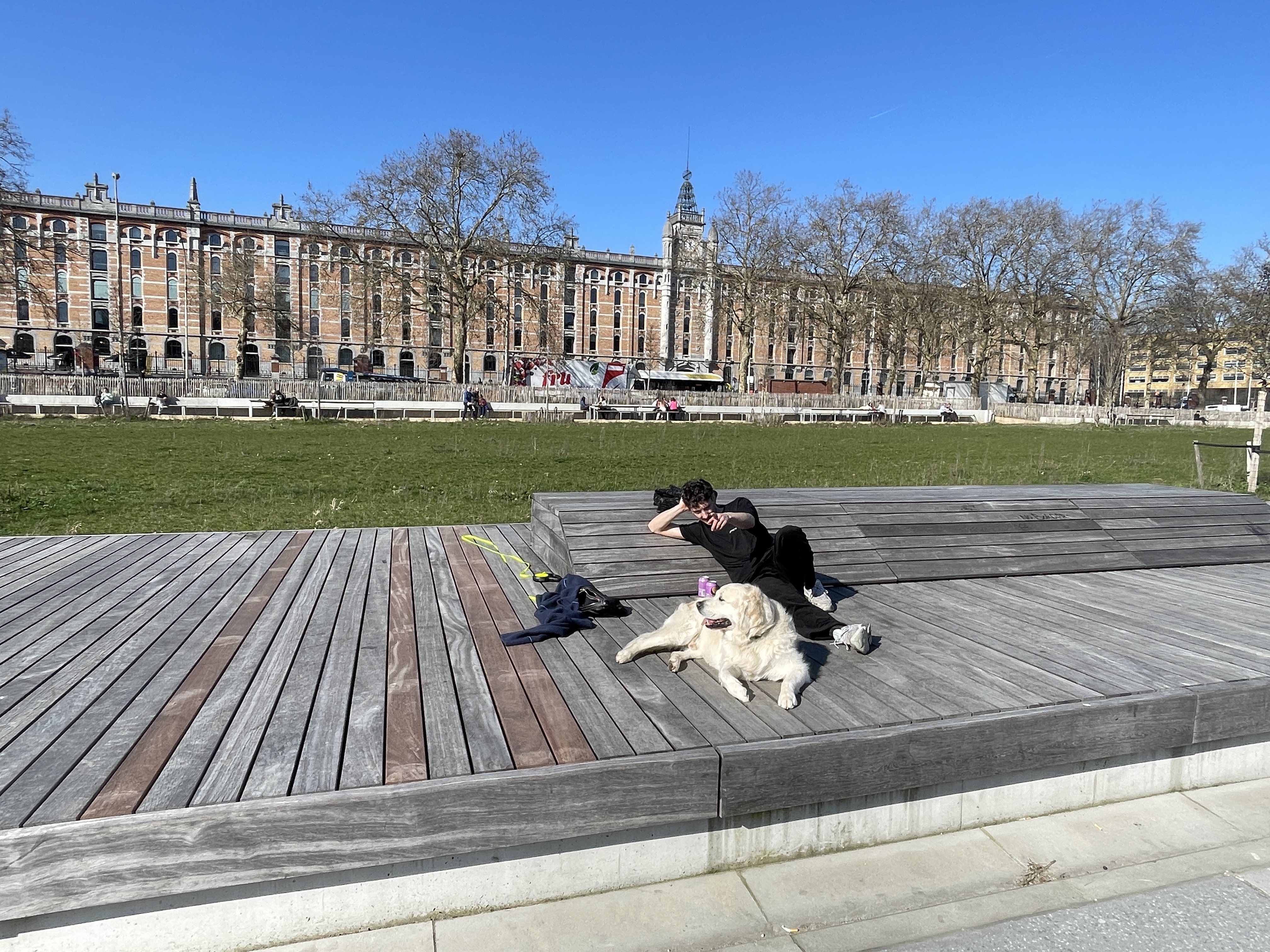 image-19