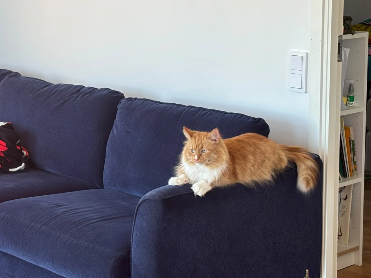 image-8