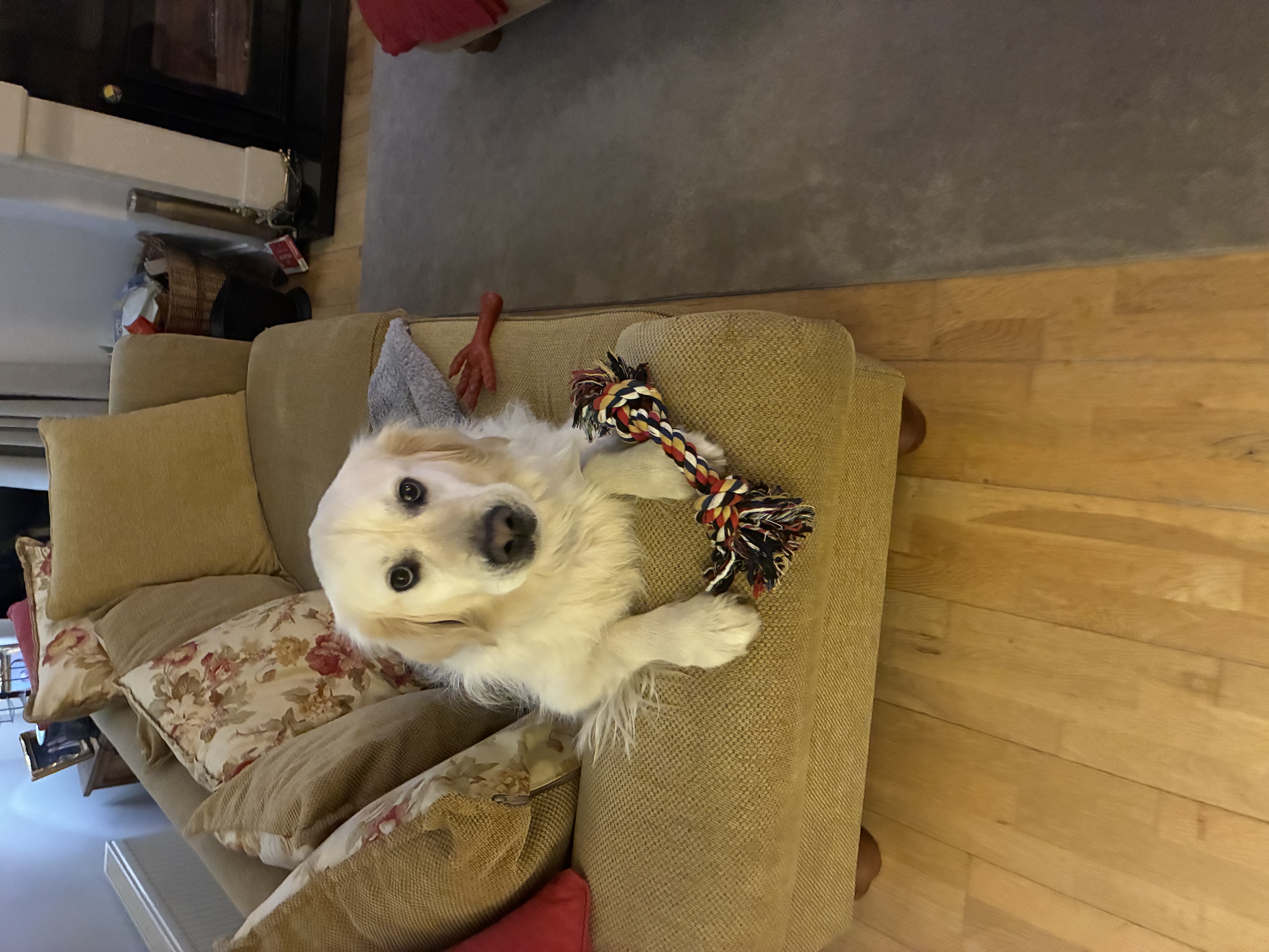 image-6