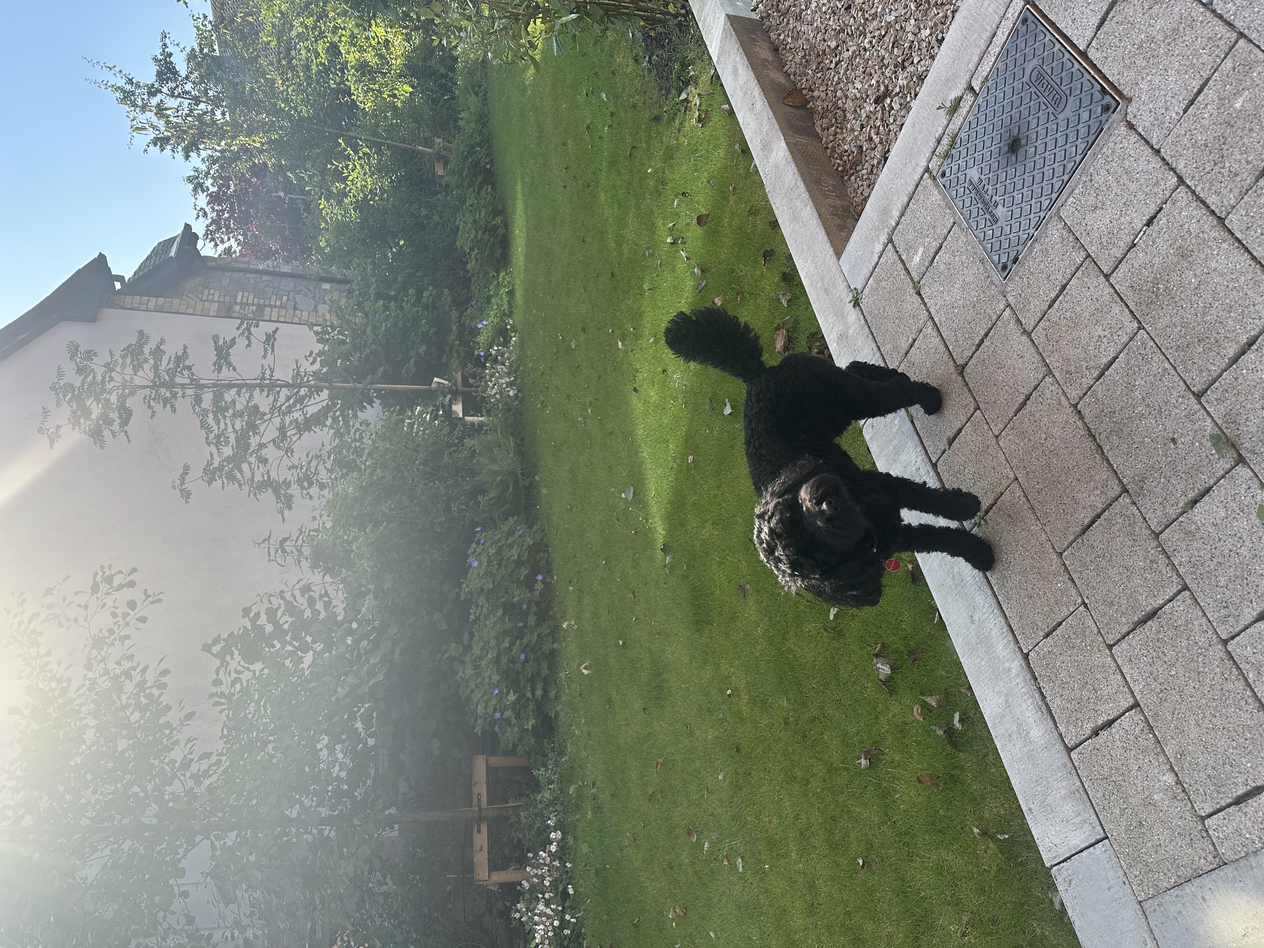 image-11