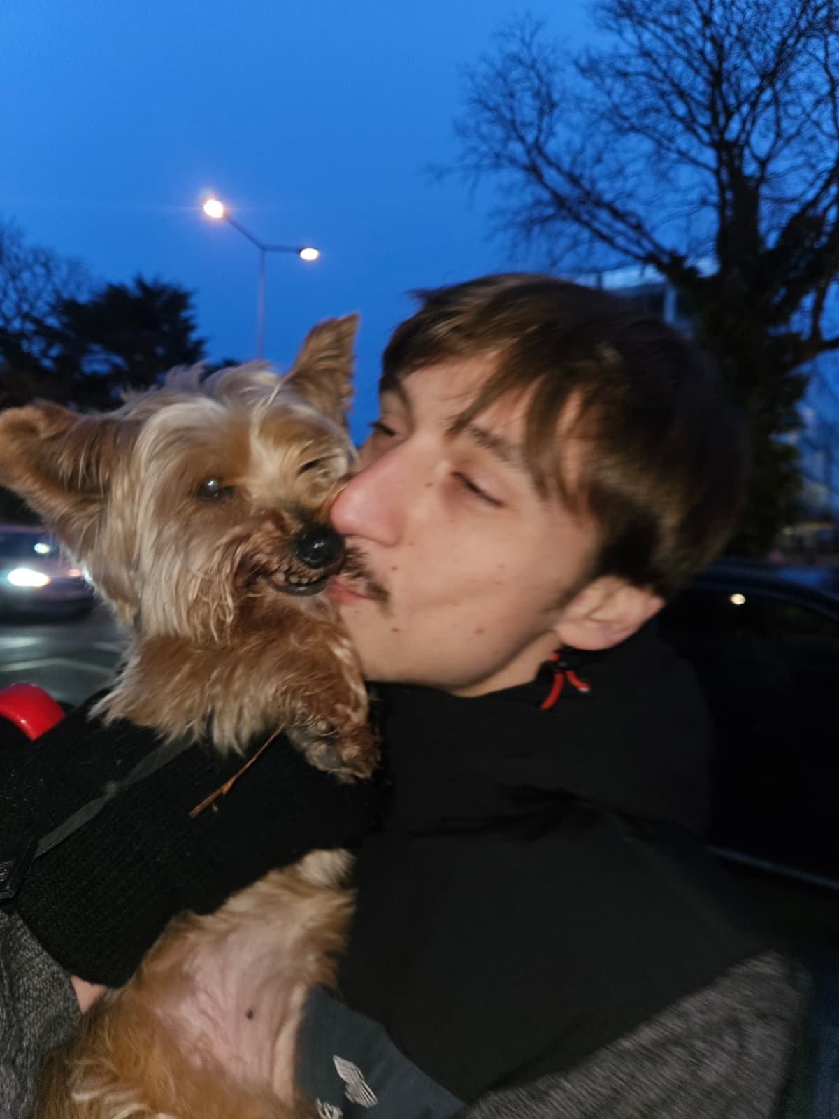 image-8