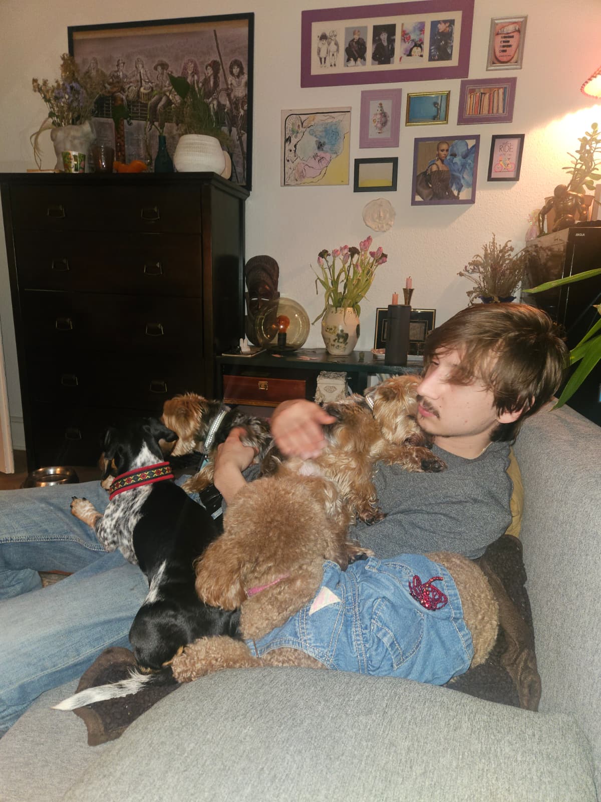 image-7
