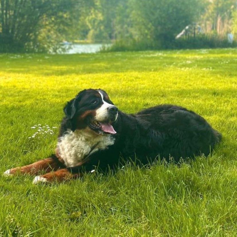 Ragnar