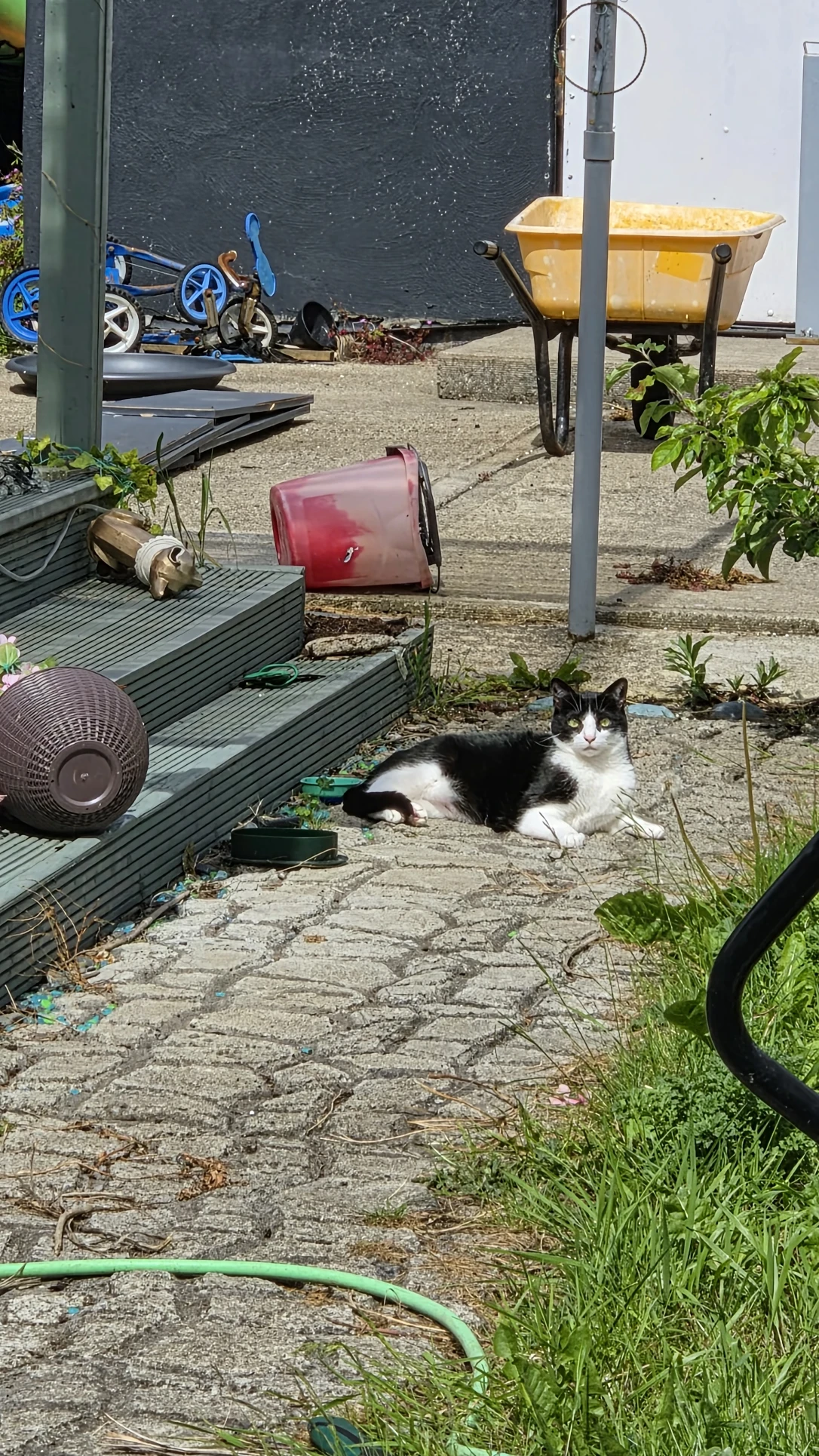 image-10