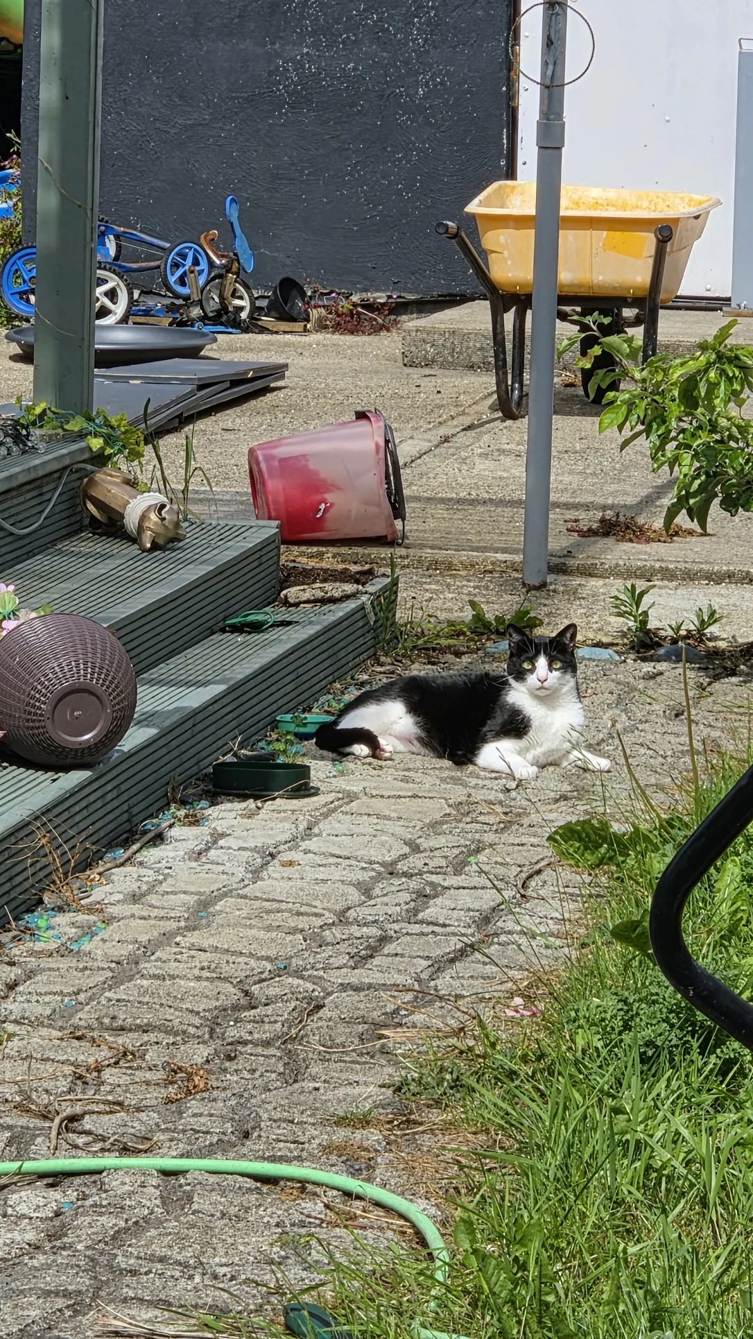 image-10